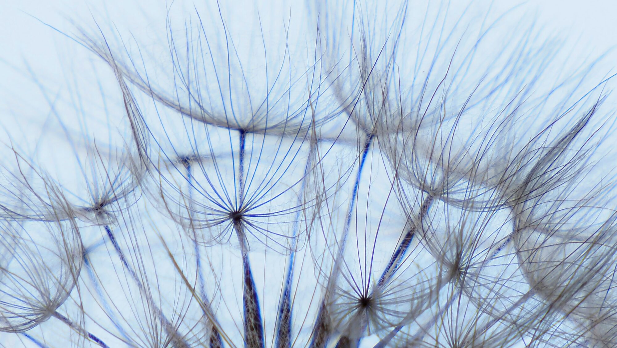 Valokuvaaja: Arja Valtonen