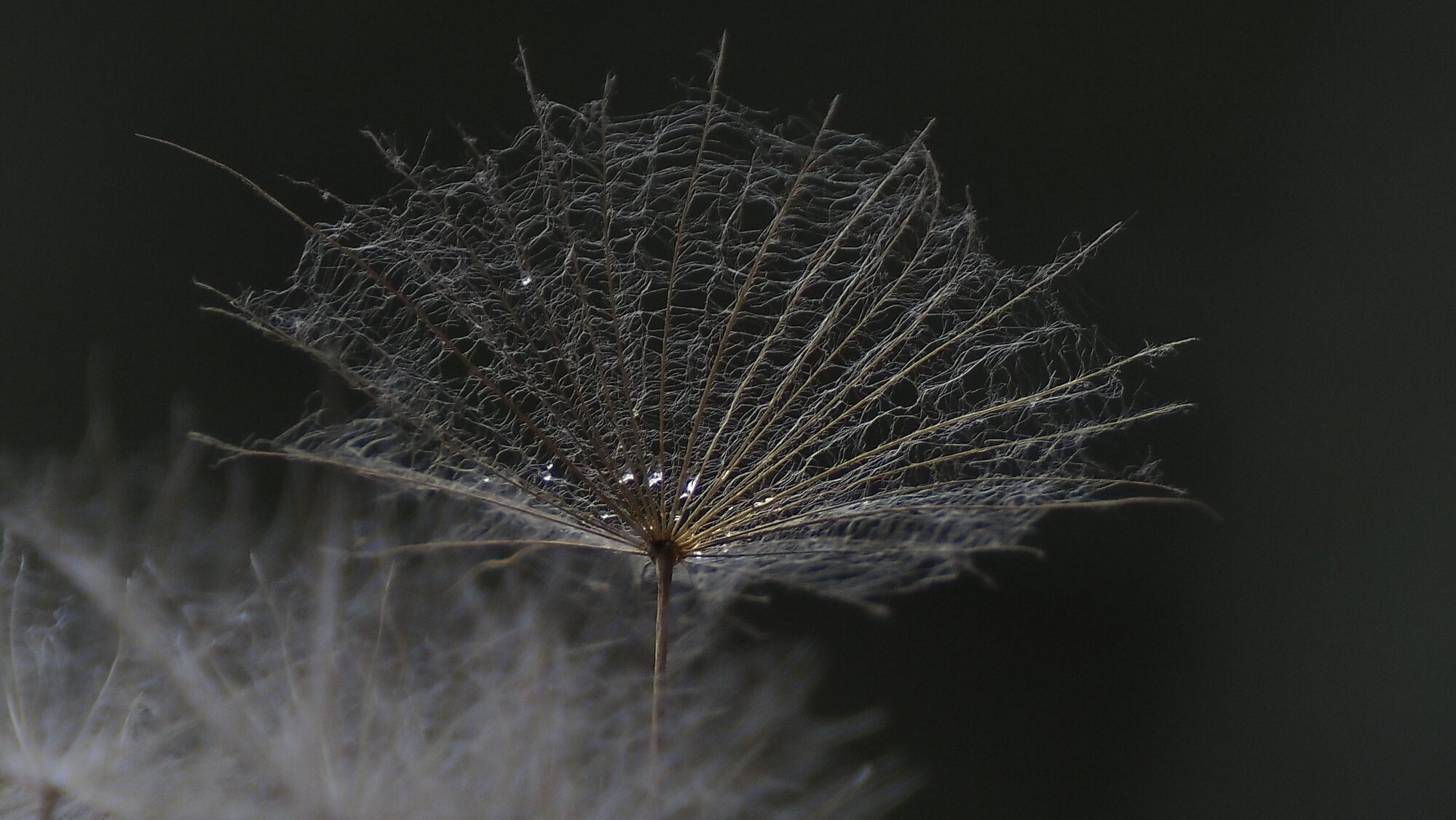 Valokuvaaja: Arja Valtonen Valokuvaaja: Arja Valtonen