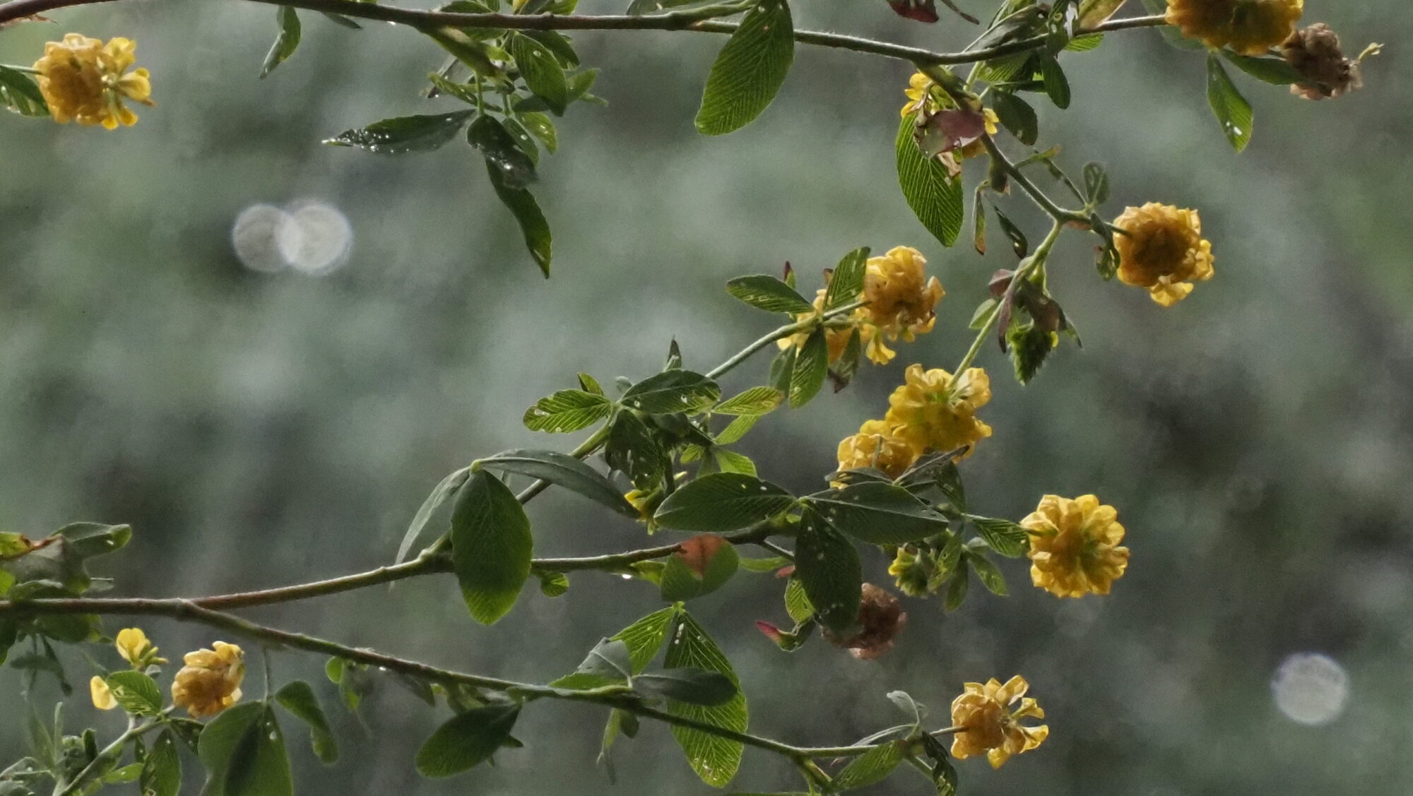 Valokuvaaja: Arja Valtonen