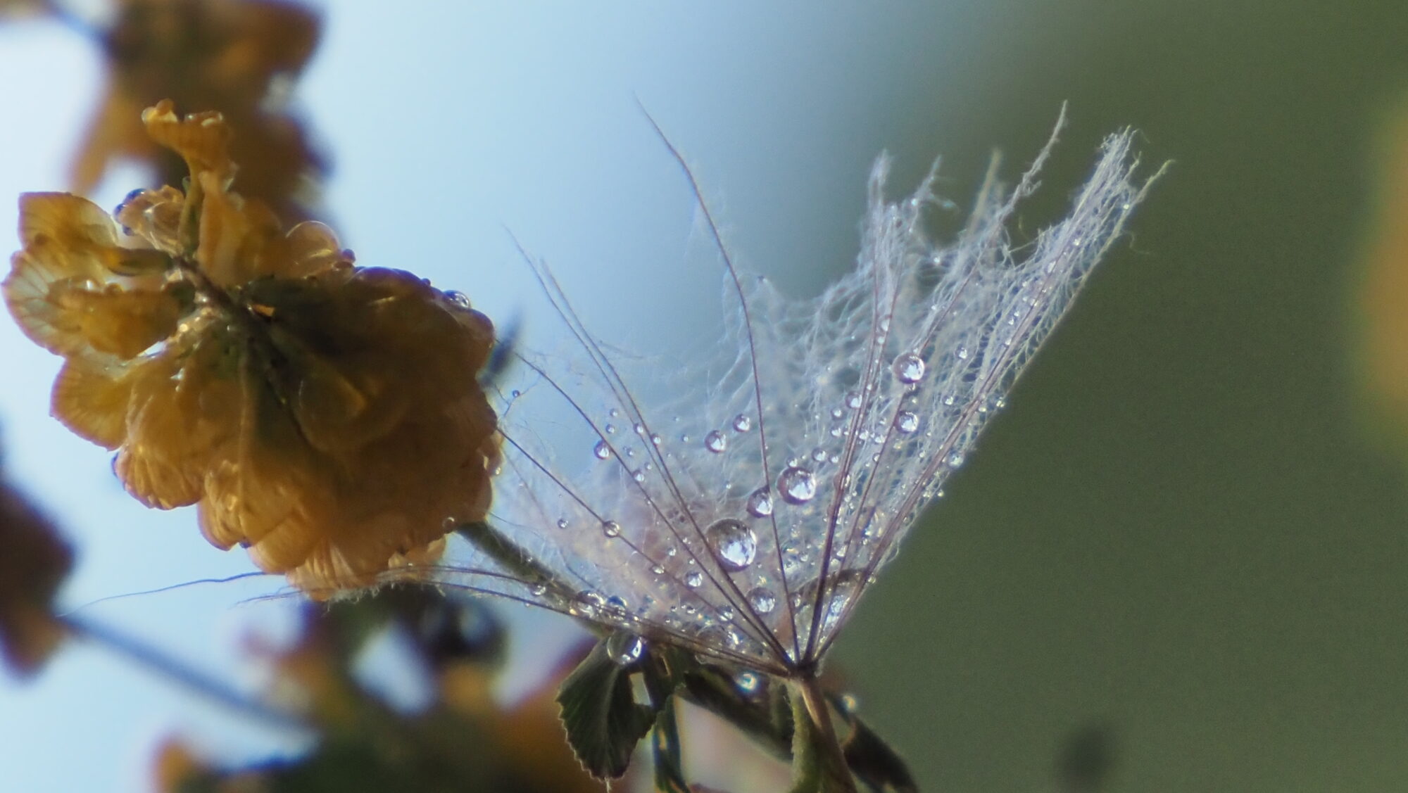 Valokuvaaja: Arja Valtonen