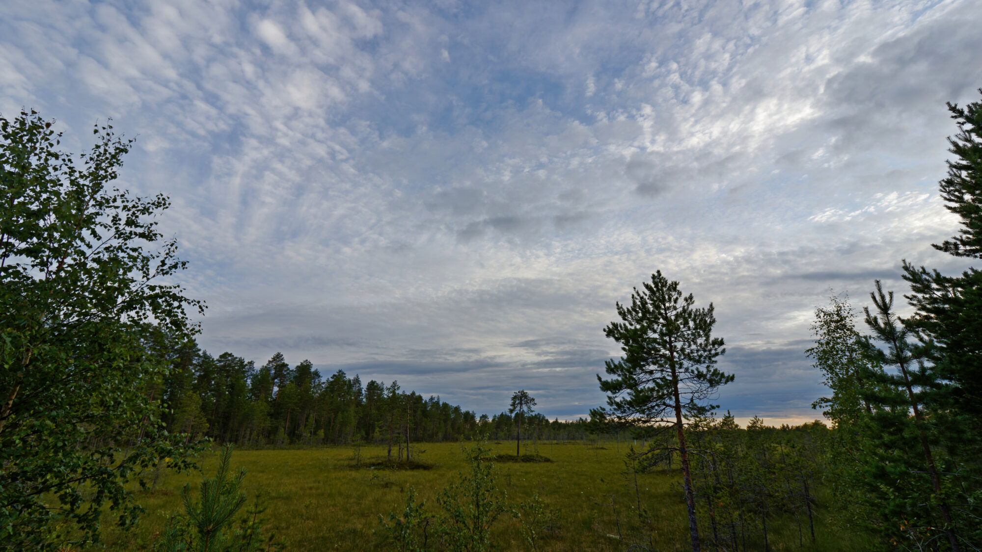 Valokuvaaja: SINIKKA KUJALA
