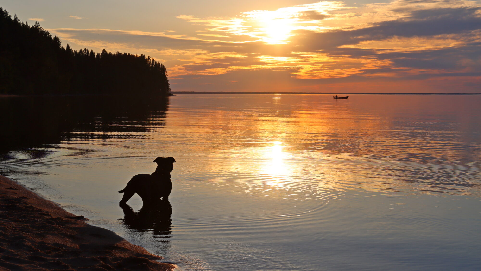 Valokuvaaja: SINIKKA KUJALA