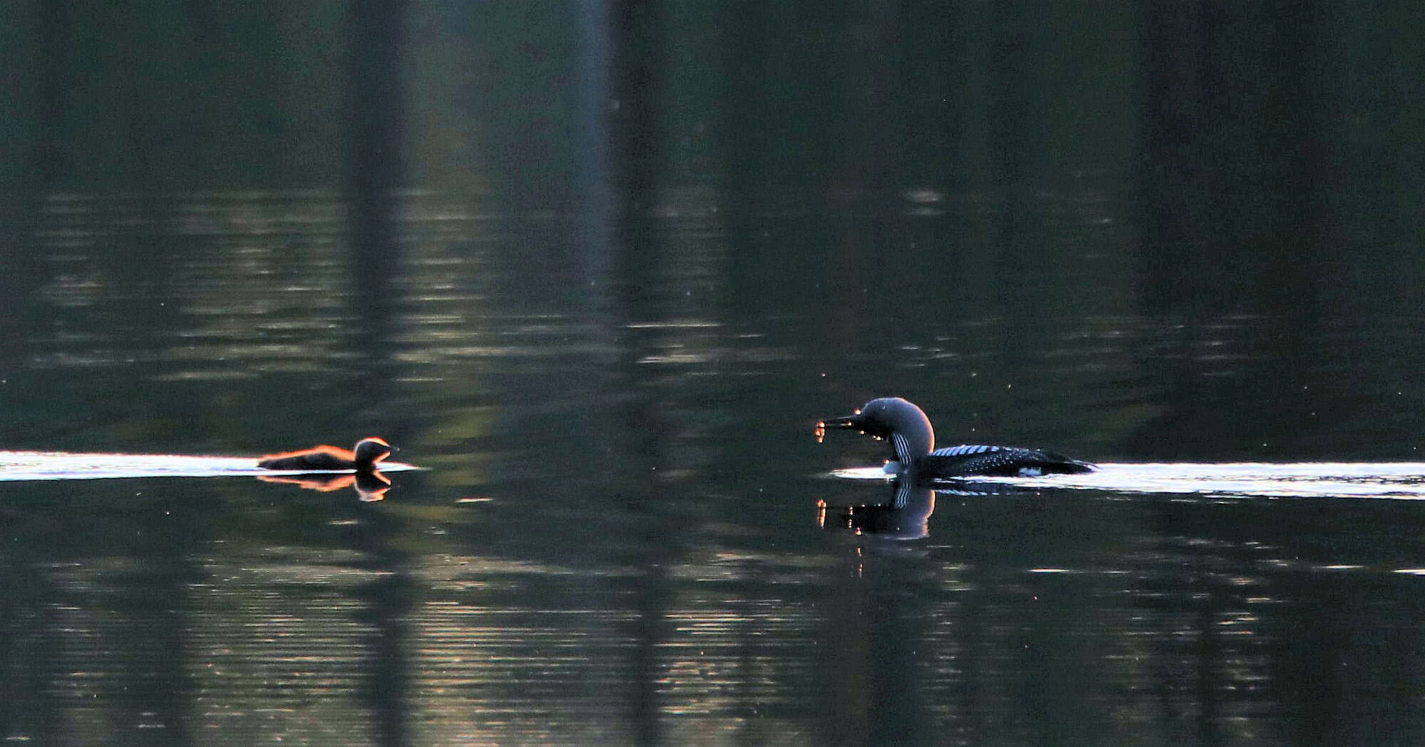 Valokuvaaja: Ahti Keränen
