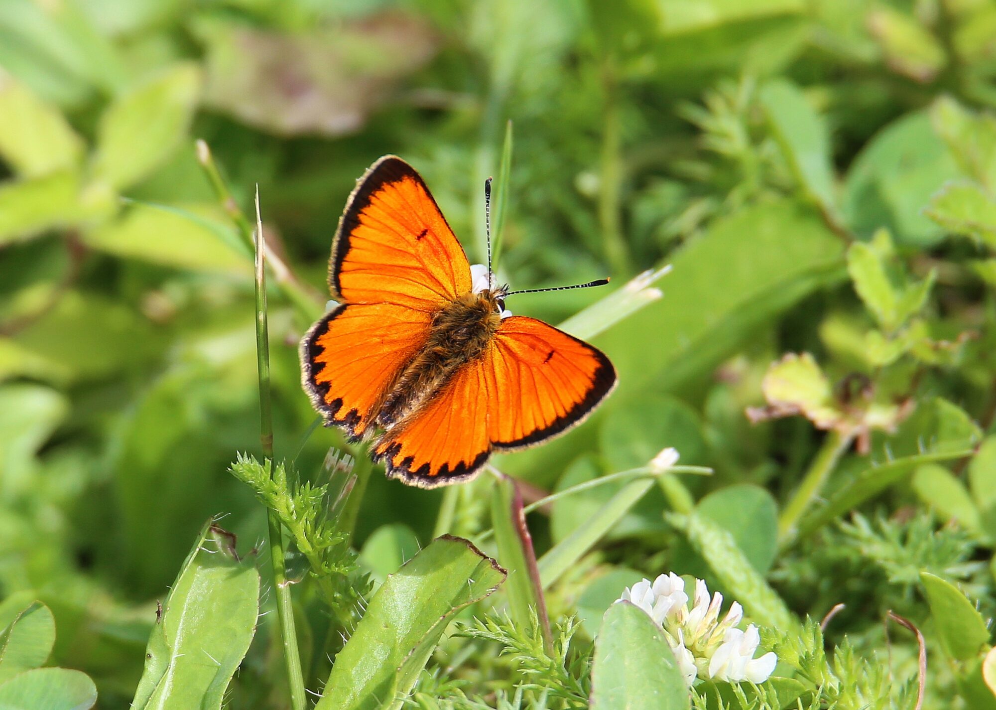 Valokuvaaja: Jaana Saarelainen