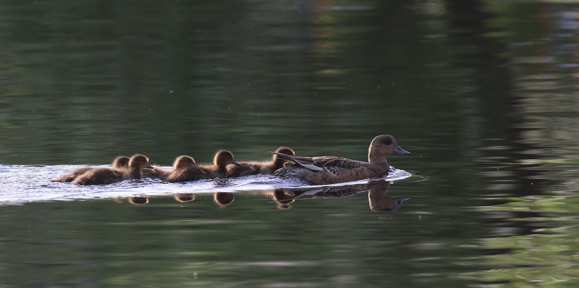Valokuvaaja: Jaana Saarelainen