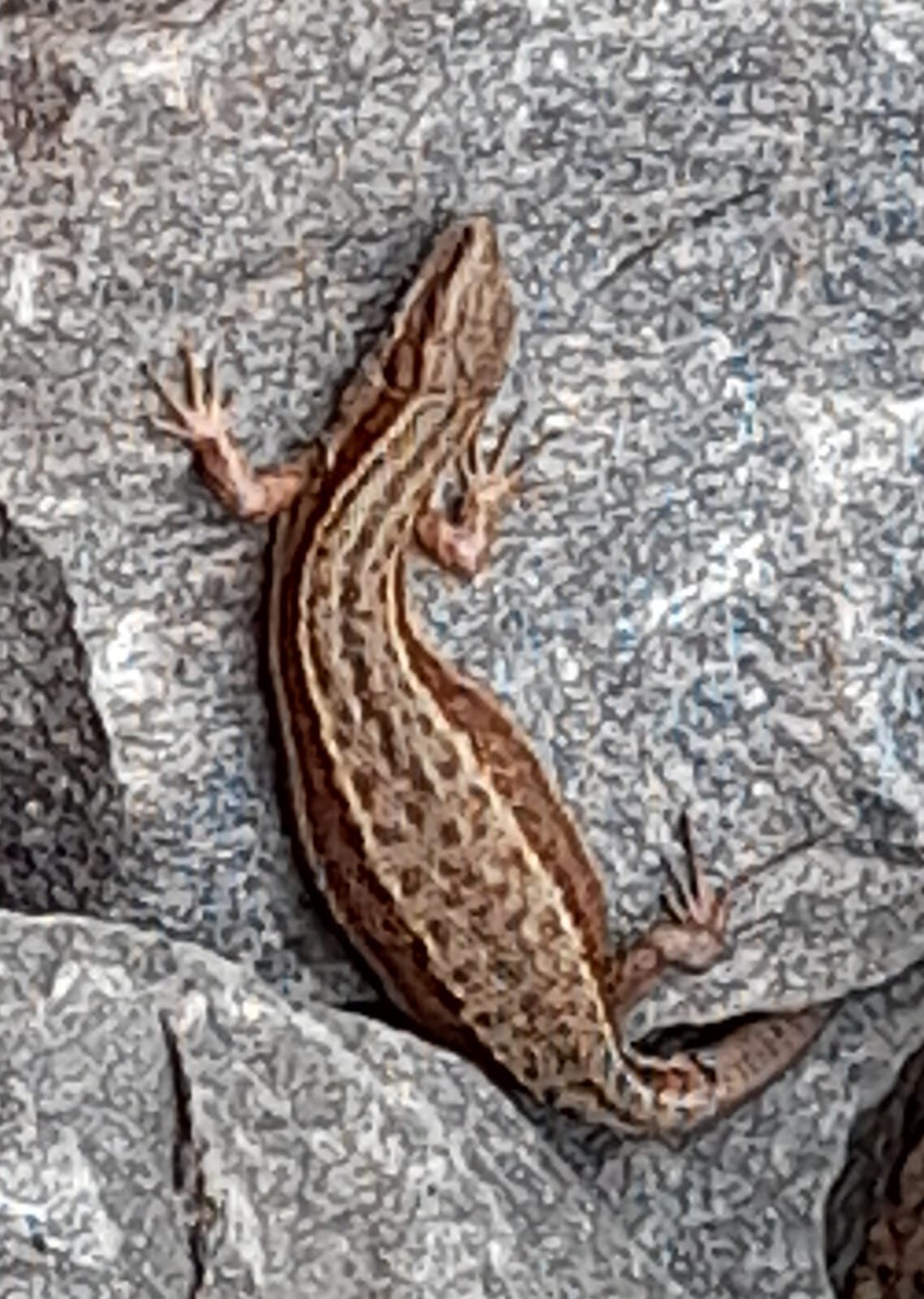 Valokuvaaja: Anne Mäki