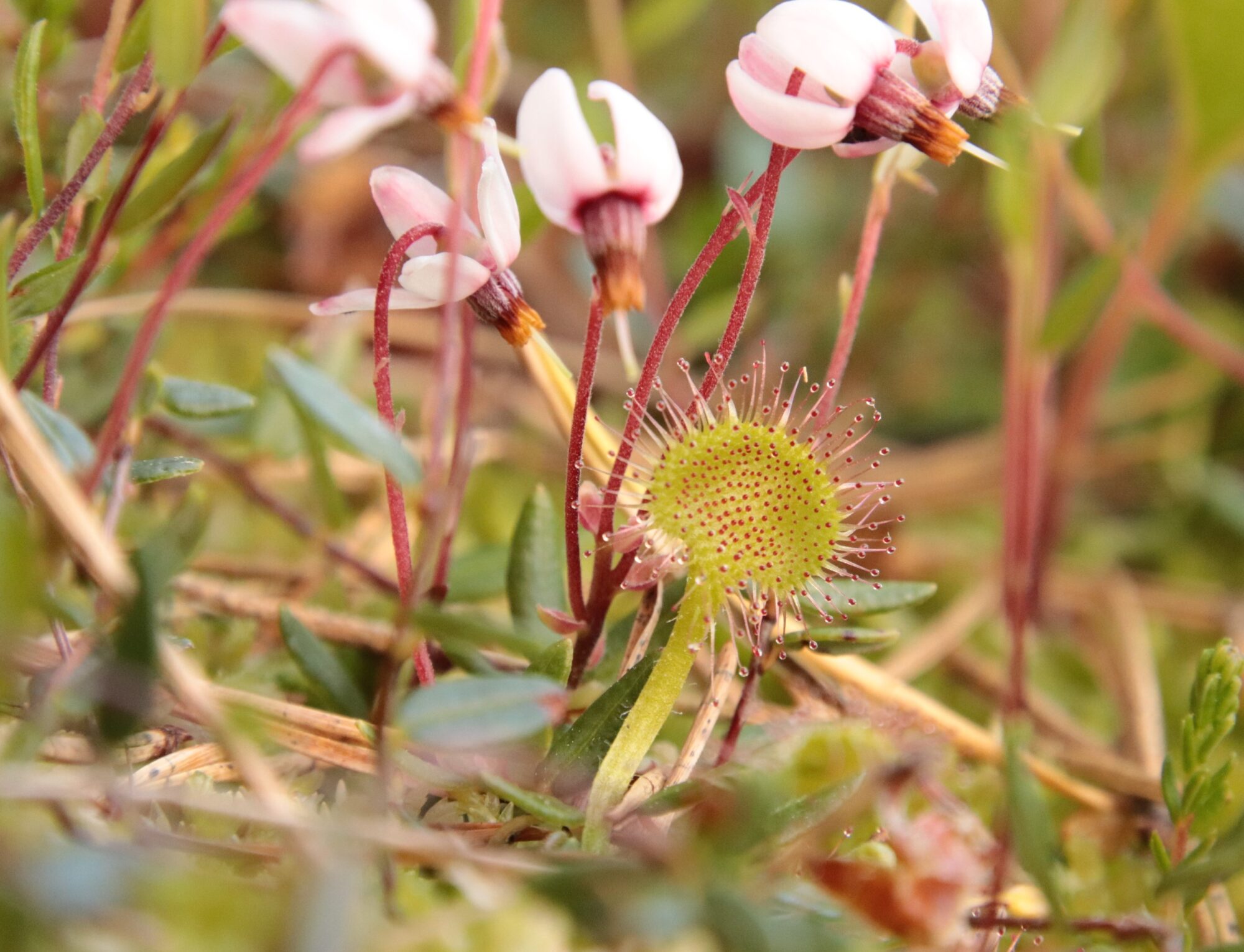 Valokuvaaja: Tuulia Aho