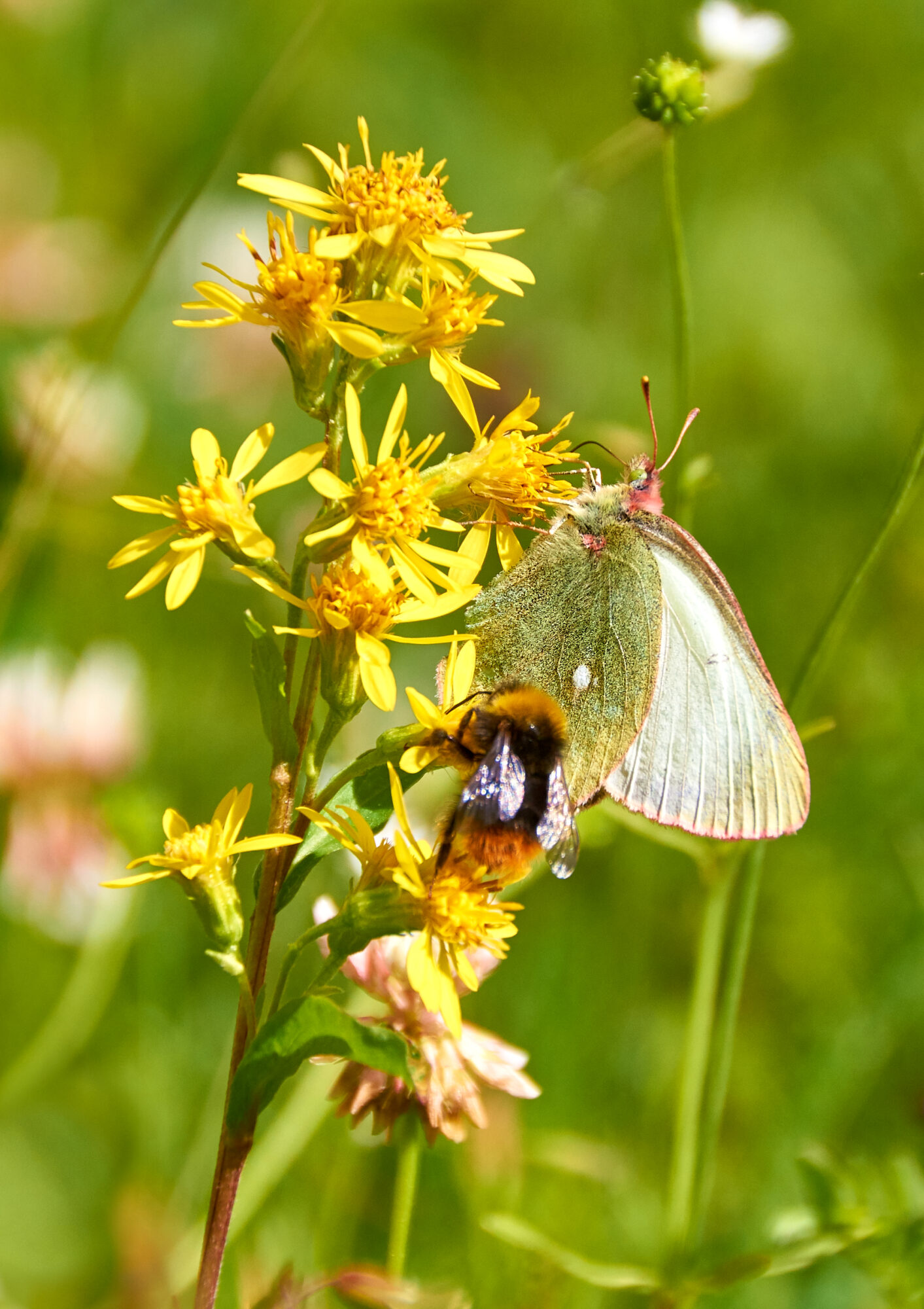 Valokuvaaja: Tarja Kouvo