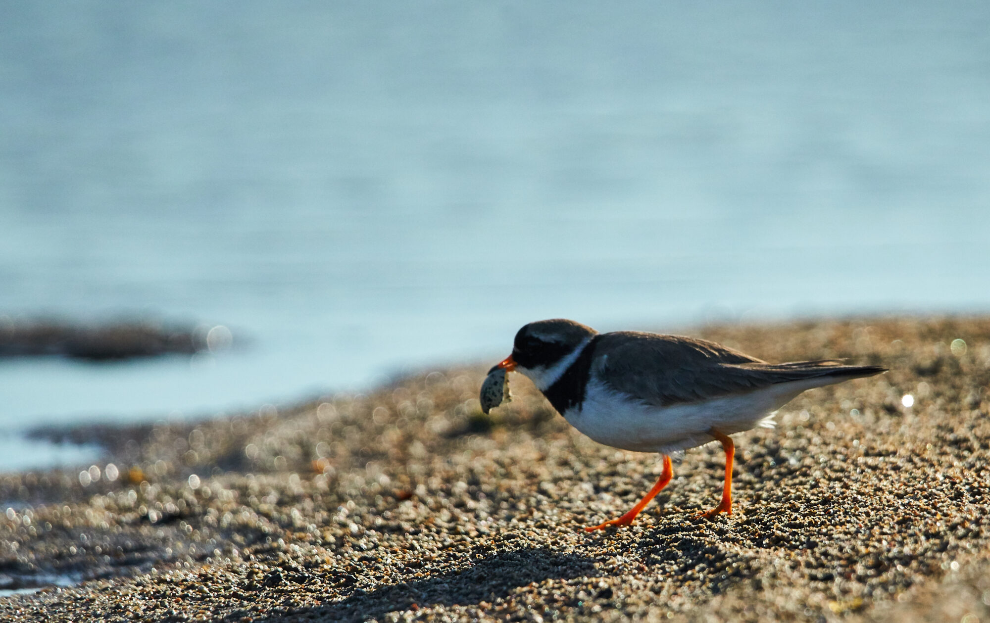 Valokuvaaja: Tarja Kouvo