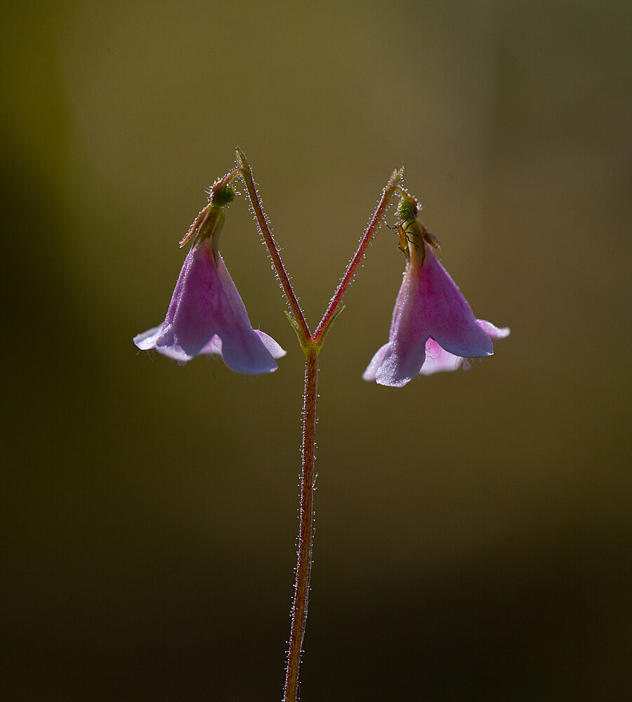 Valokuvaaja: Aarre Leskinen