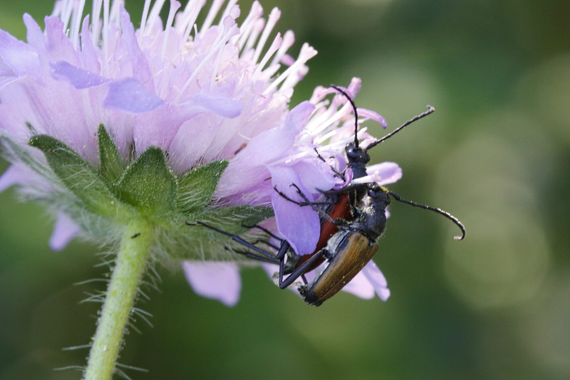 Valokuvaaja: Ritva Nieminen Valokuvaaja: Ritva Nieminen