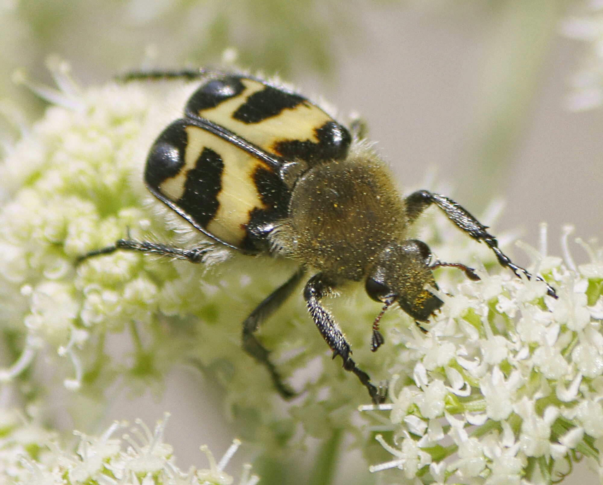 Valokuvaaja: Ritva Nieminen