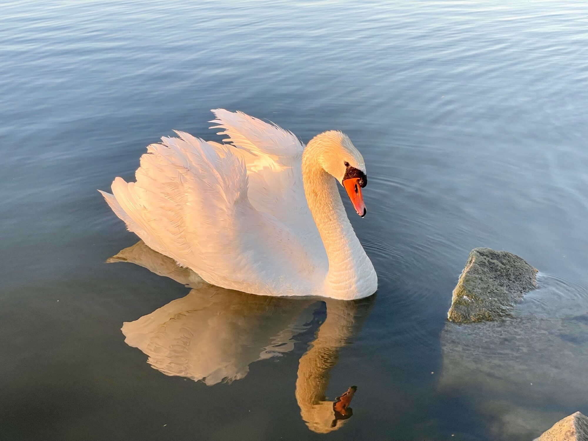 Valokuvaaja: Juhani Peltonen