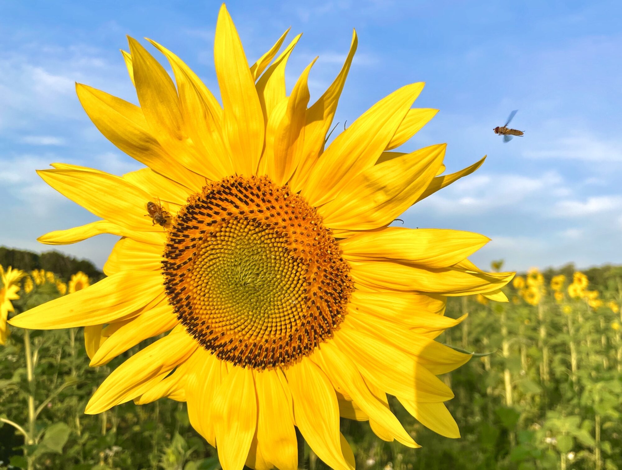 Valokuvaaja: Juhani Peltonen Valokuvaaja: Juhani Peltonen