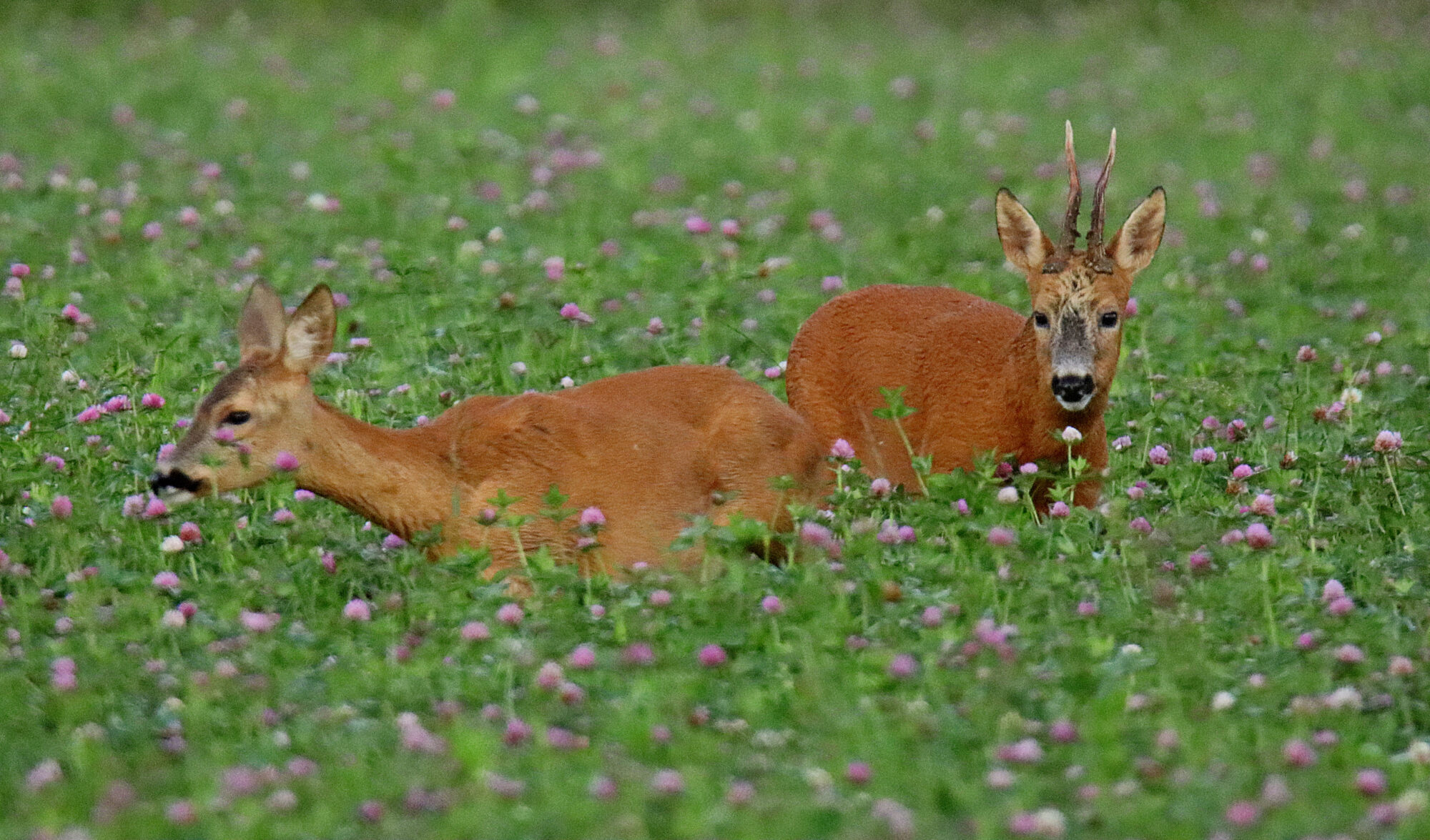 Valokuvaaja: sirpa Jyske