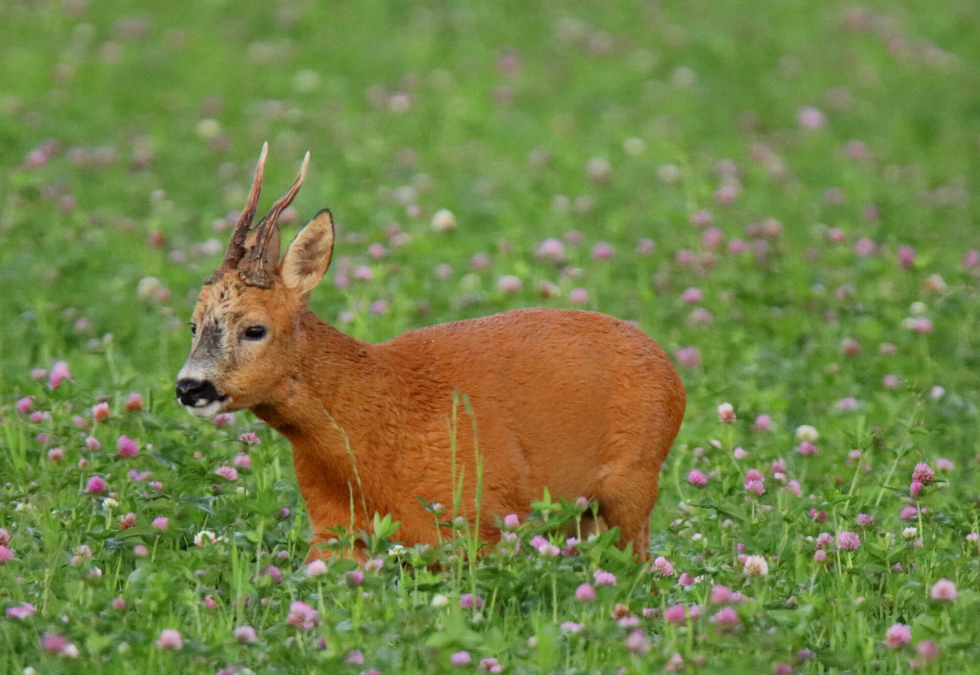 Valokuvaaja: sirpa Jyske