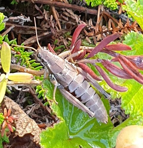 Valokuvaaja: Anu Lapinlampi Valokuvaaja: Anu Lapinlampi