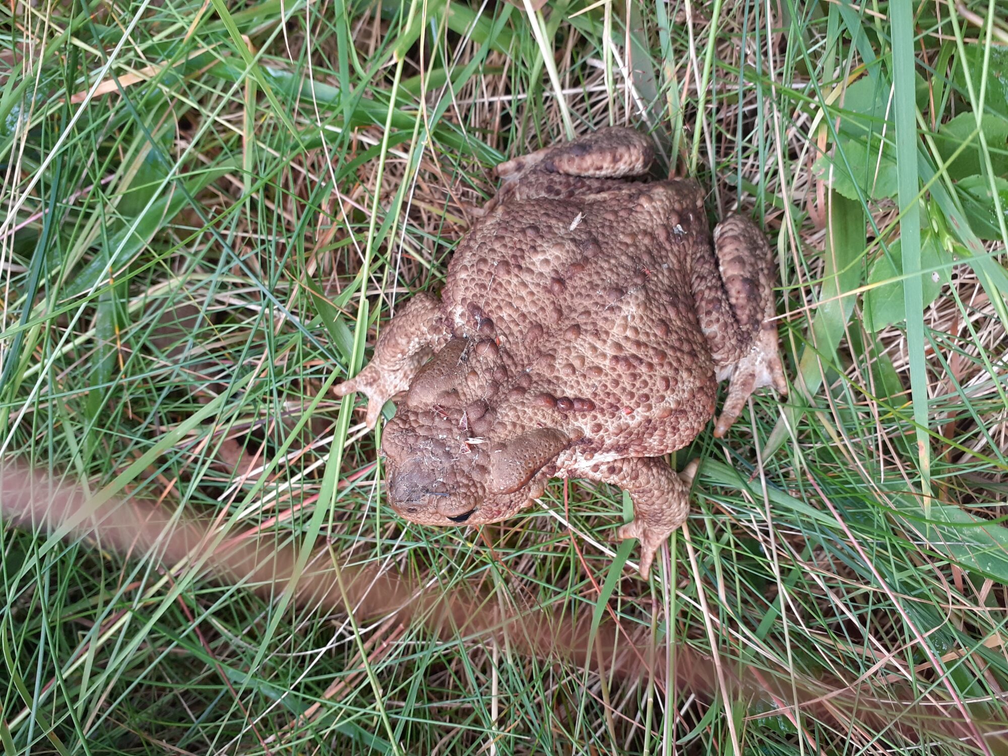 Valokuvaaja: Eeva-Liisa Ilvonen