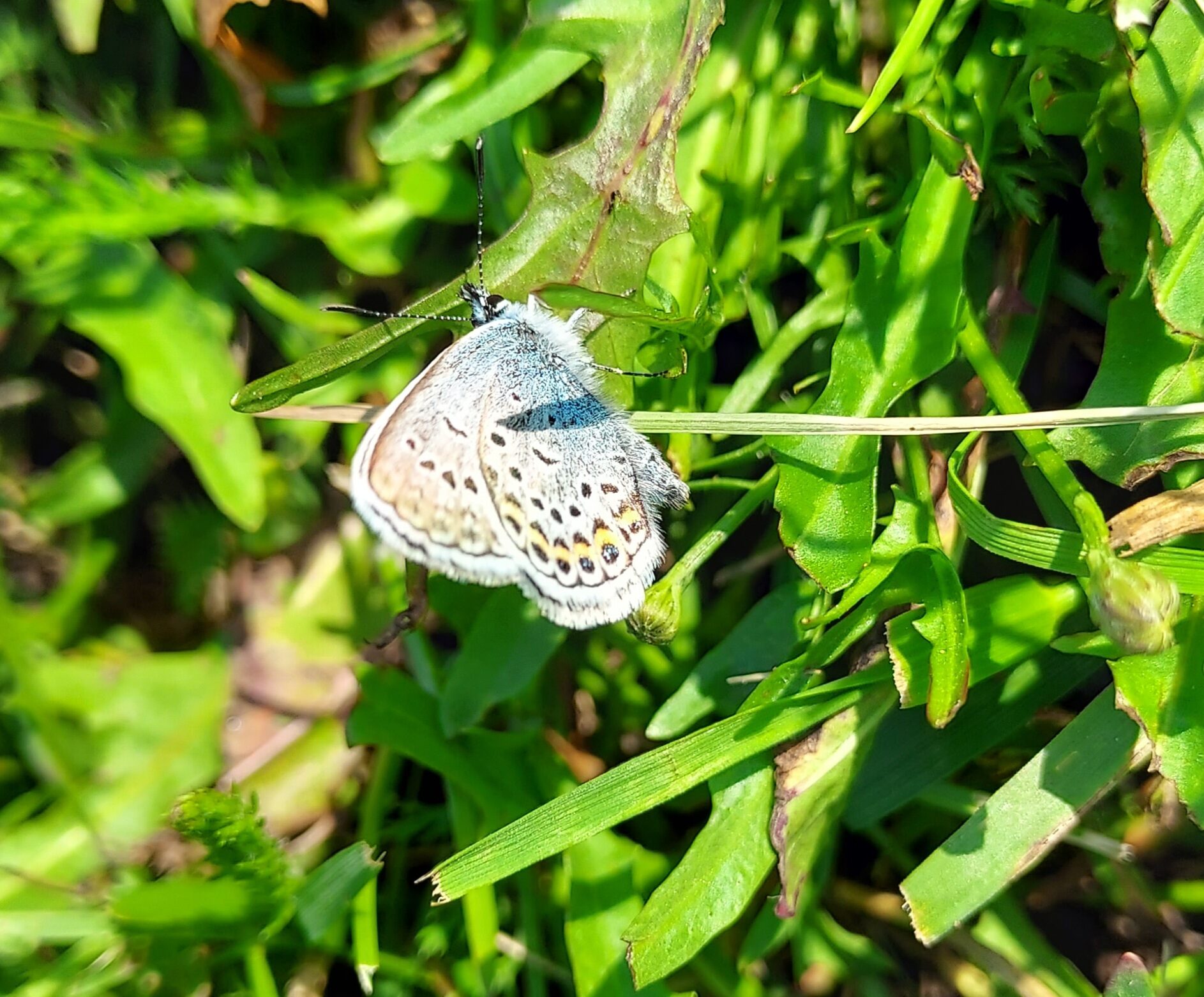 Valokuvaaja: Eija Johanna Saastamoinen