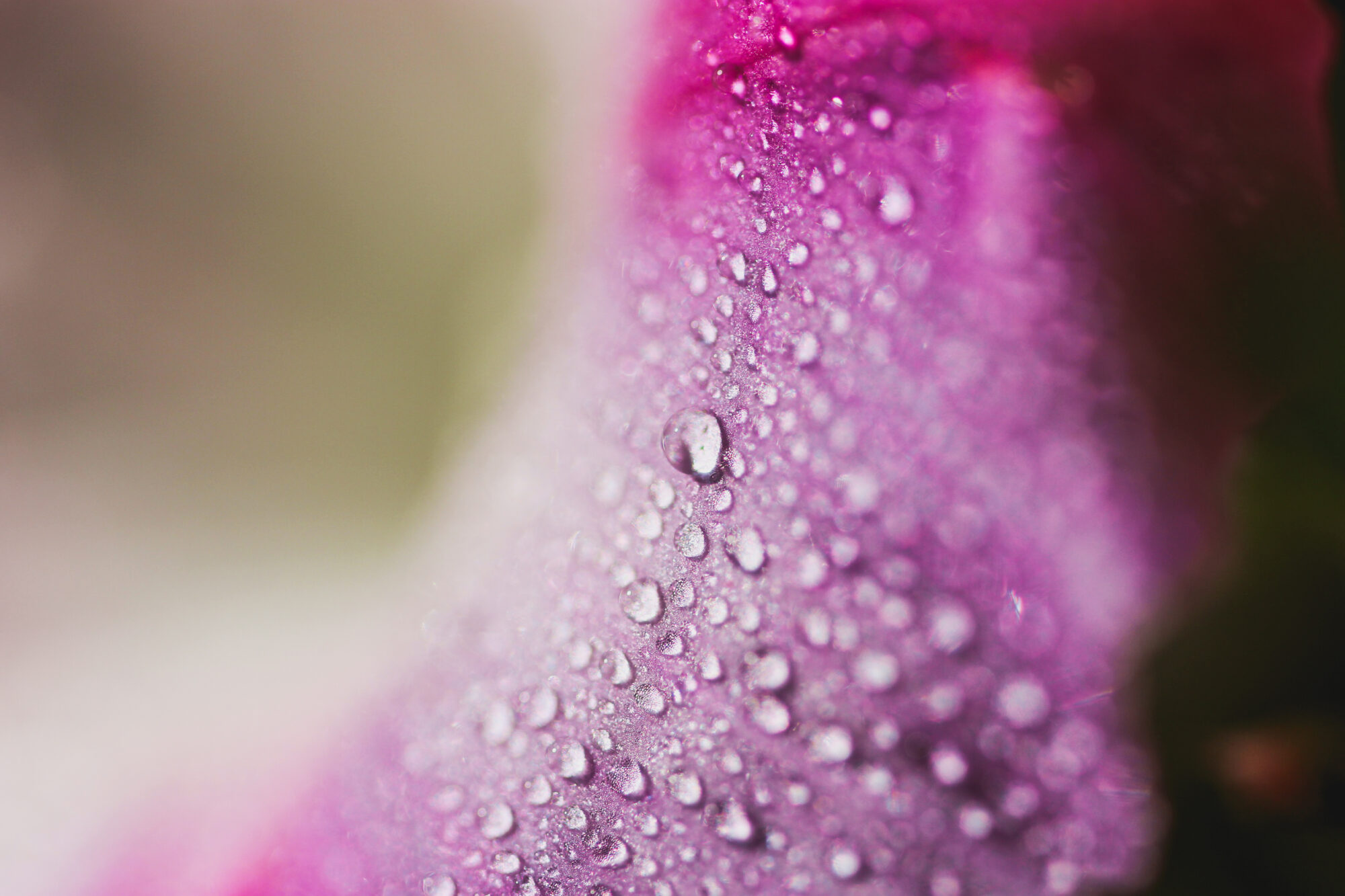 Valokuvaaja: Fanny Tuominen