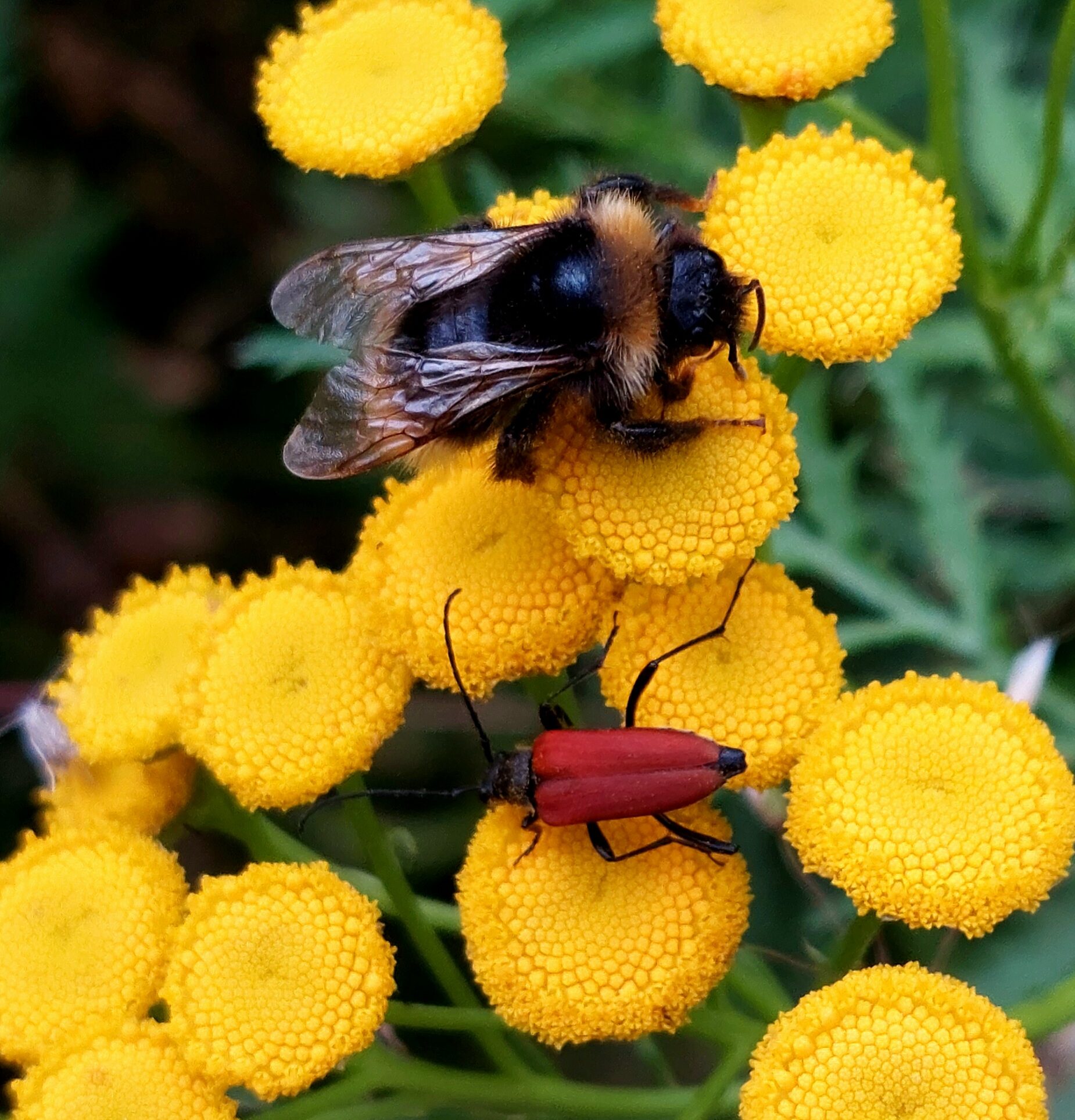 Valokuvaaja: Ville Tirilä