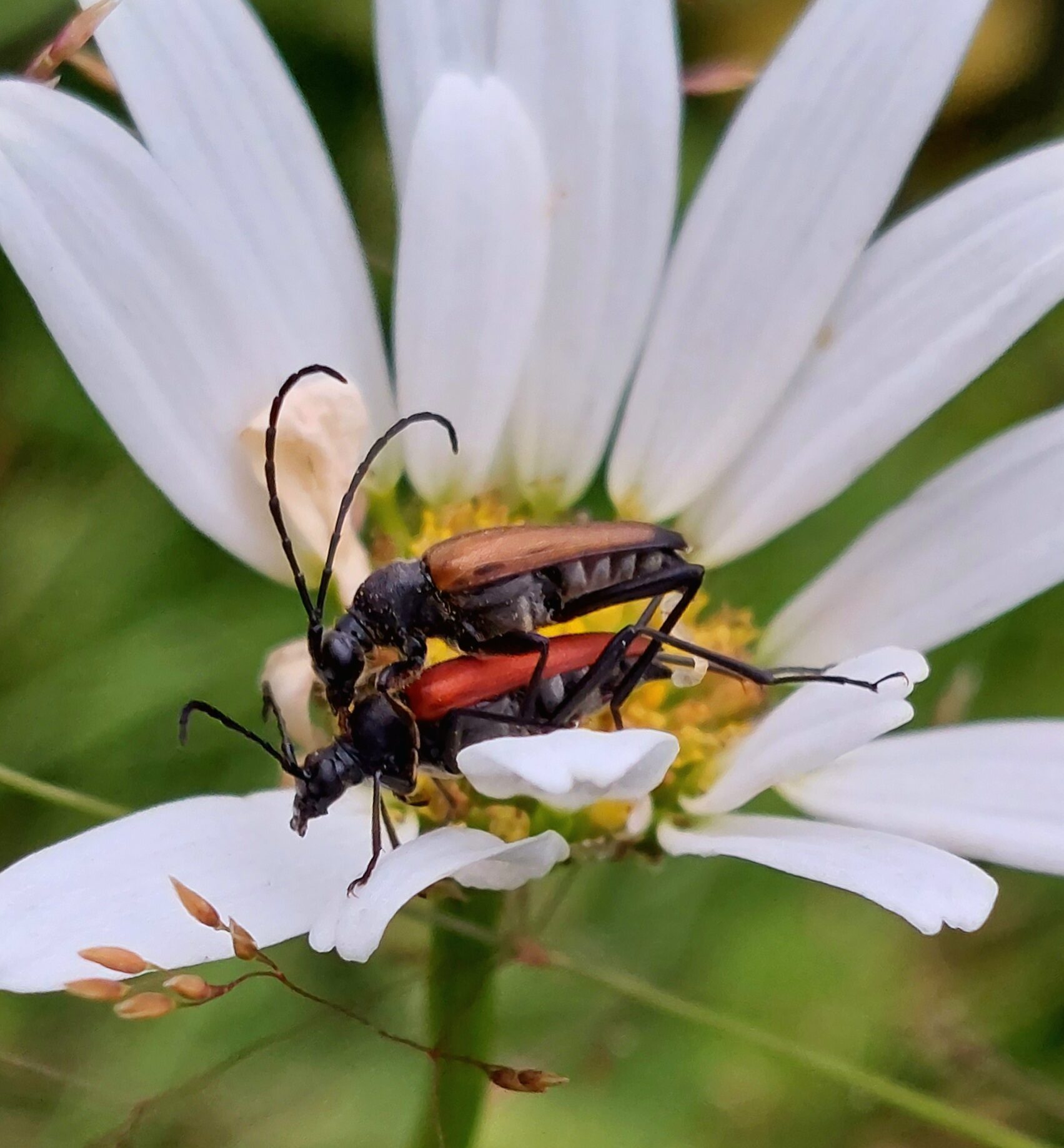 Valokuvaaja: Ville Tirilä