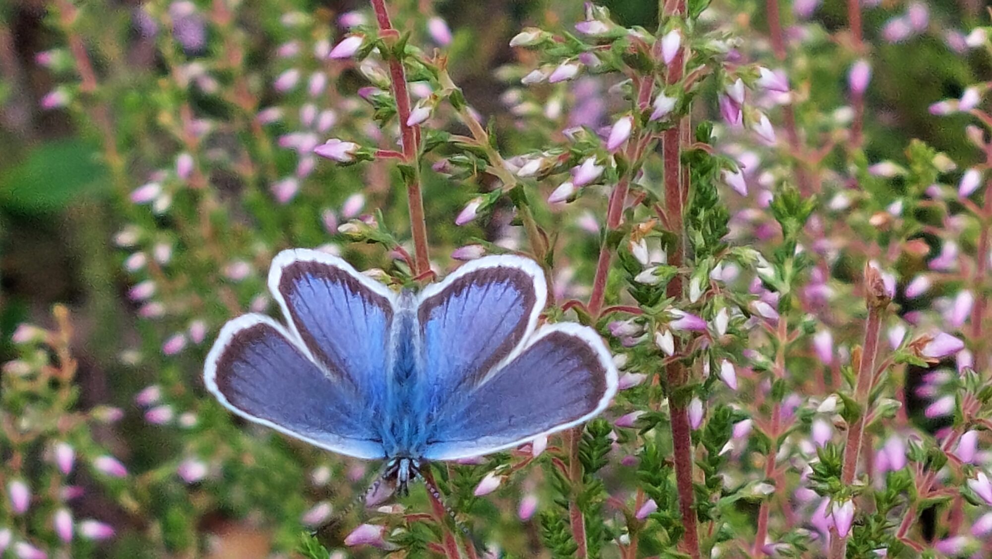 Valokuvaaja: Tarja Naukkarinen