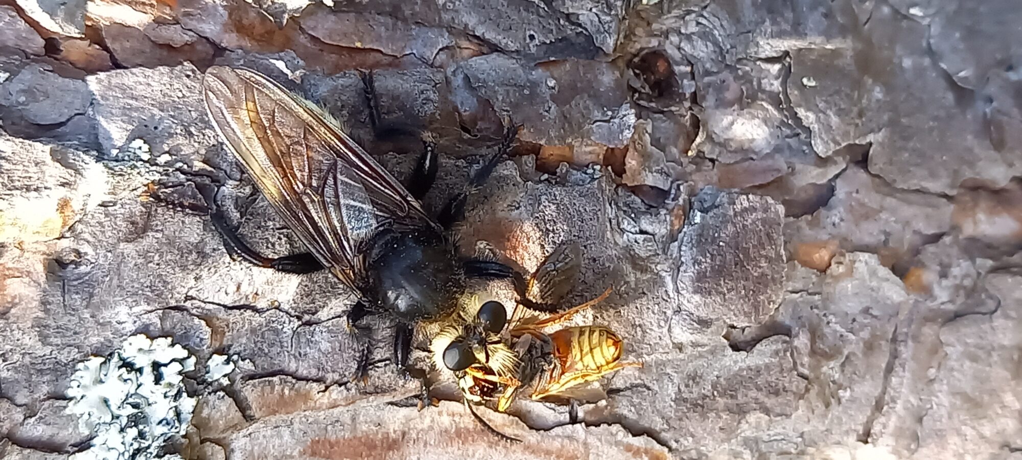 Valokuvaaja: Ulla Komsa