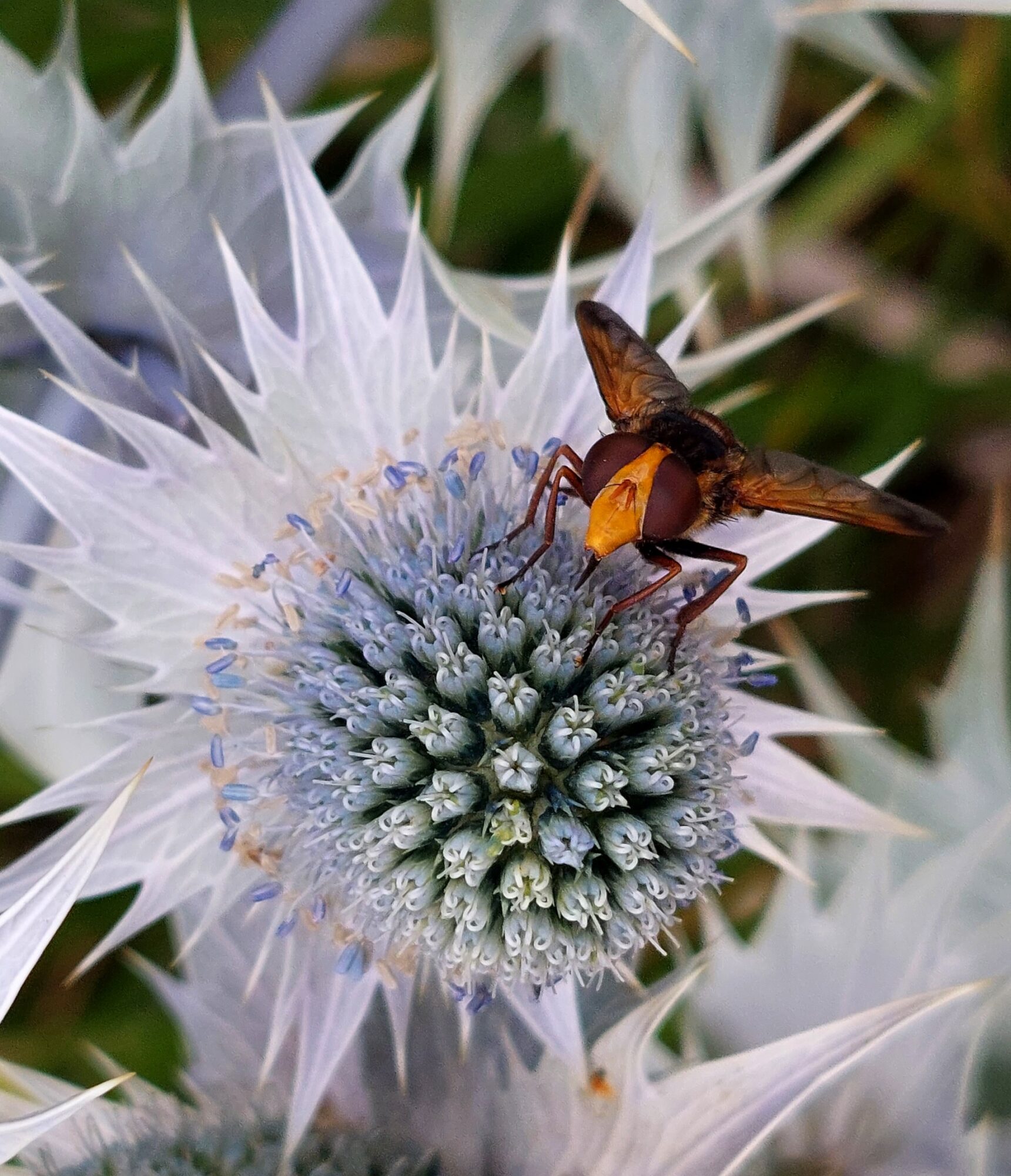 Valokuvaaja: Ville Tirilä