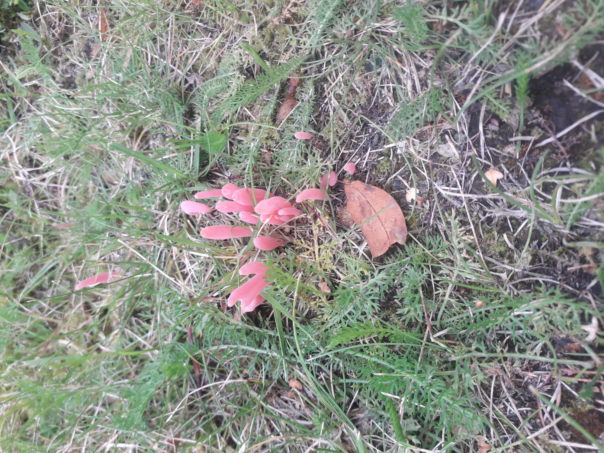 Valokuvaaja: Päivi Pitkänen