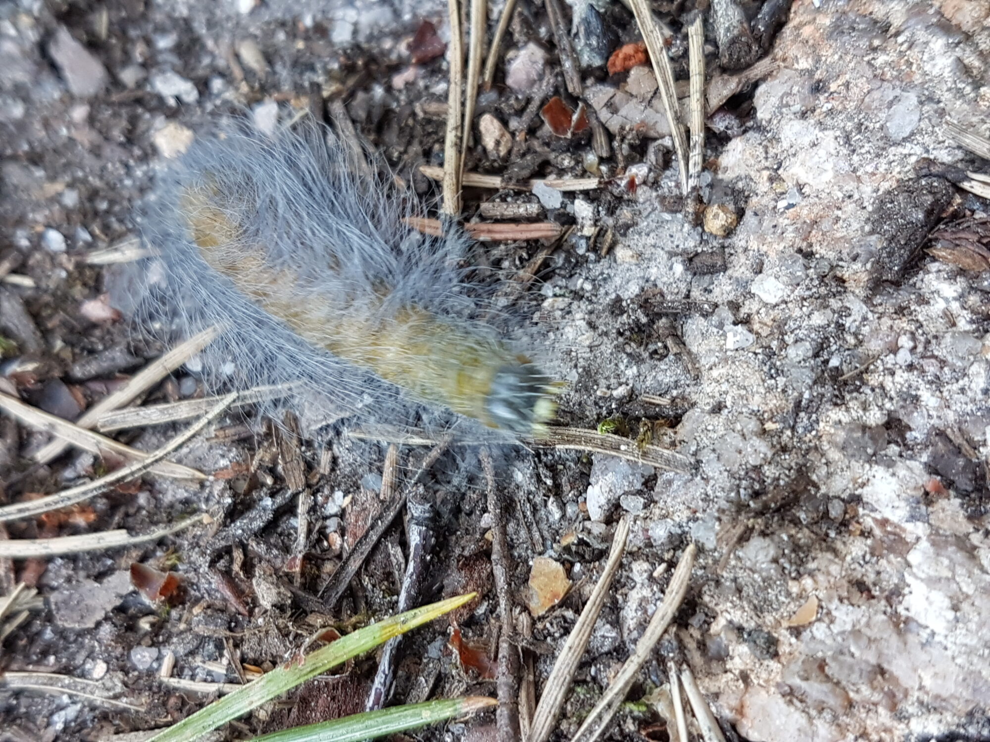 Valokuvaaja: Riitta Hinkkanen