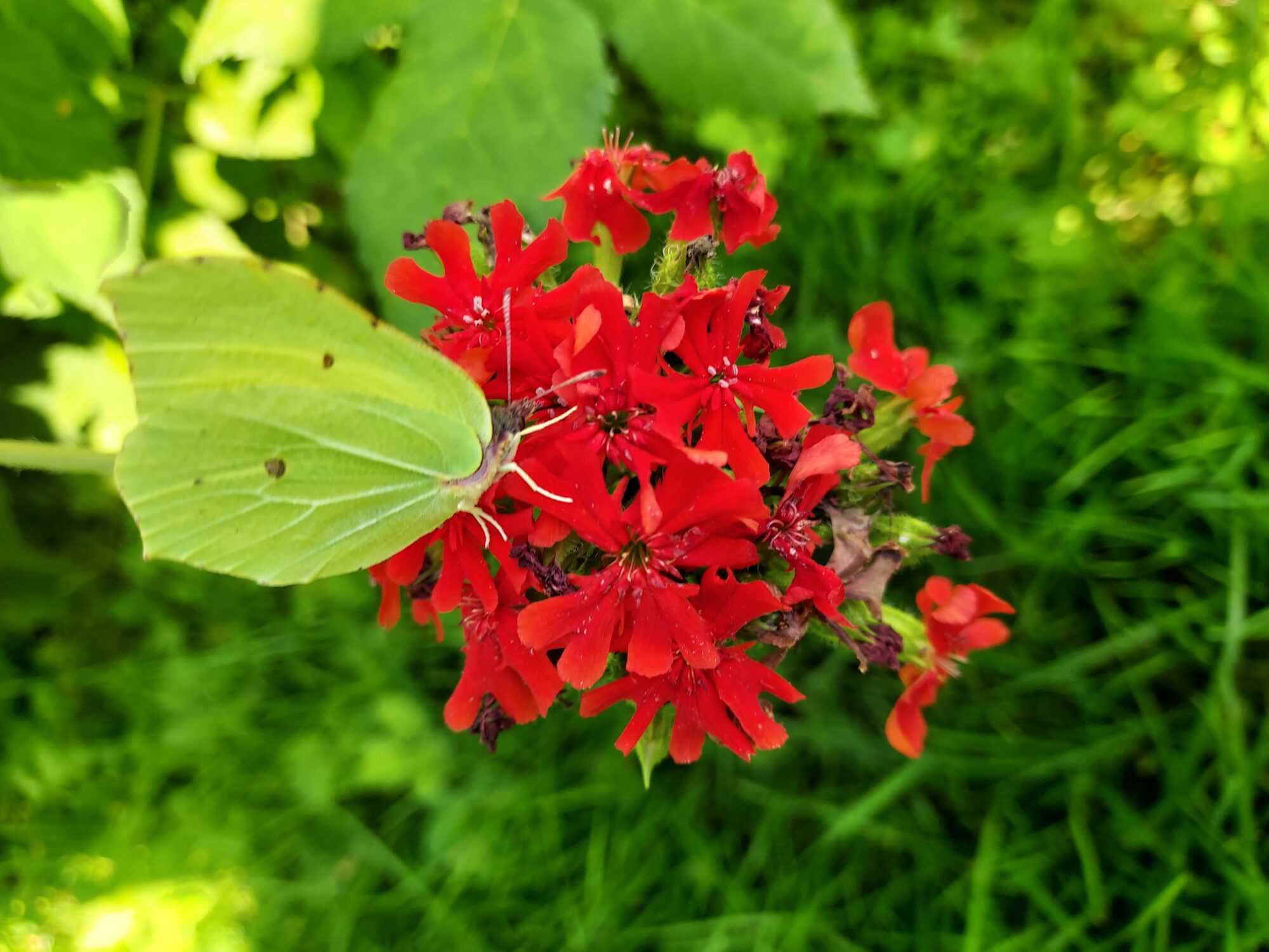 Valokuvaaja: Eija Johanna Saastamoinen