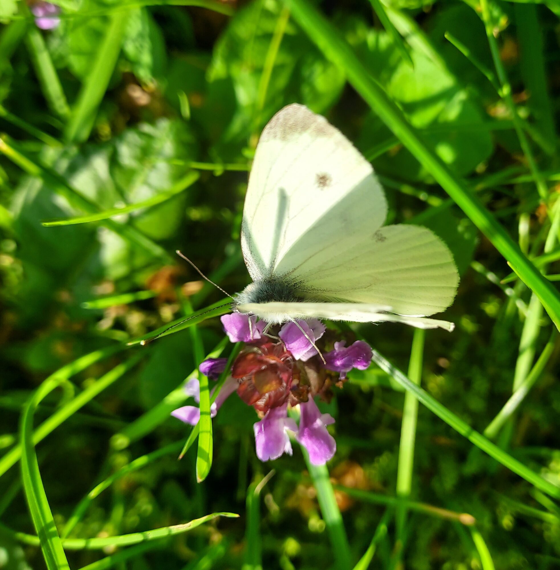 Valokuvaaja: Eija Johanna Saastamoinen