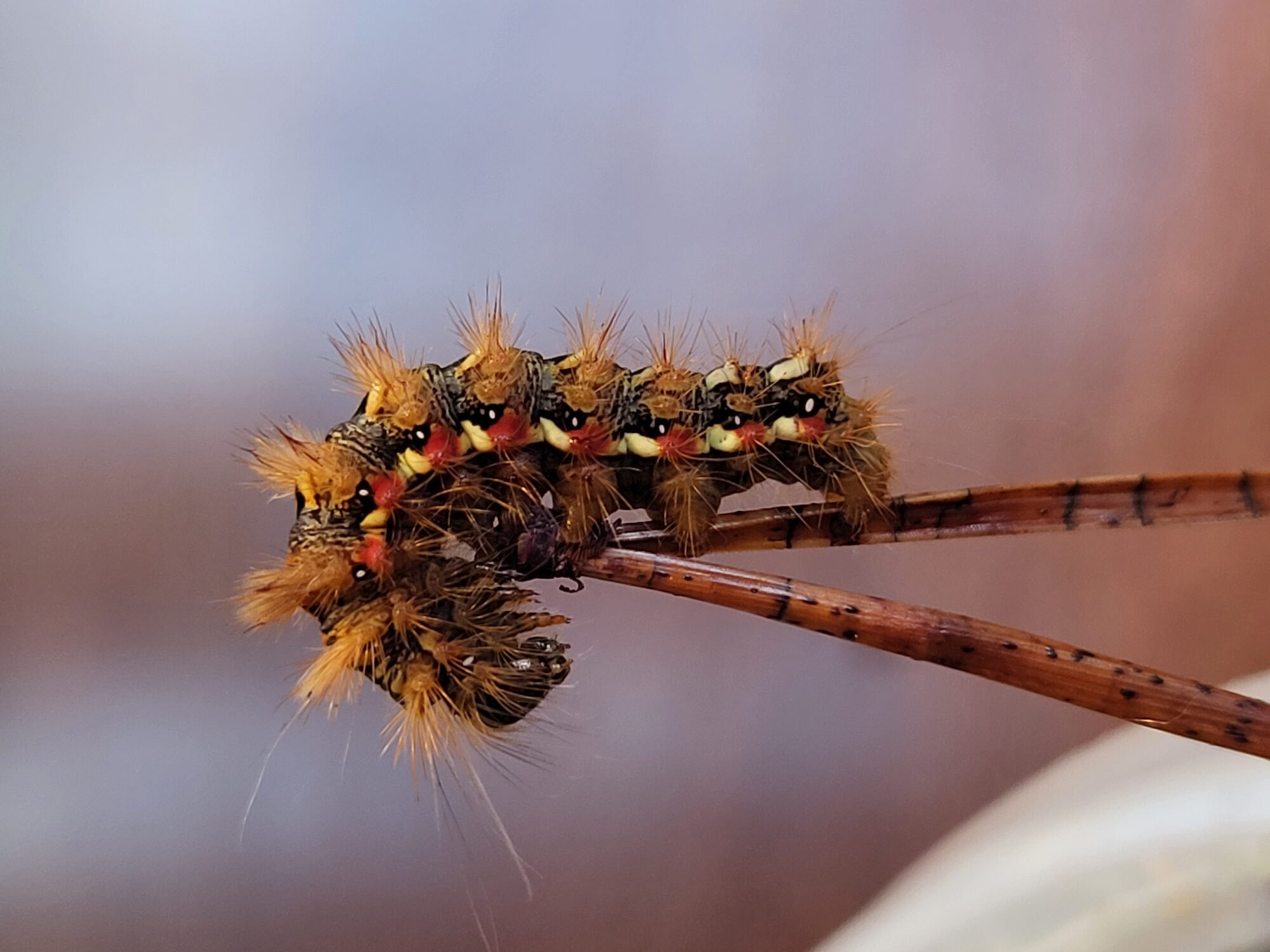 Valokuvaaja: Markku Mustonen Valokuvaaja: Markku Mustonen