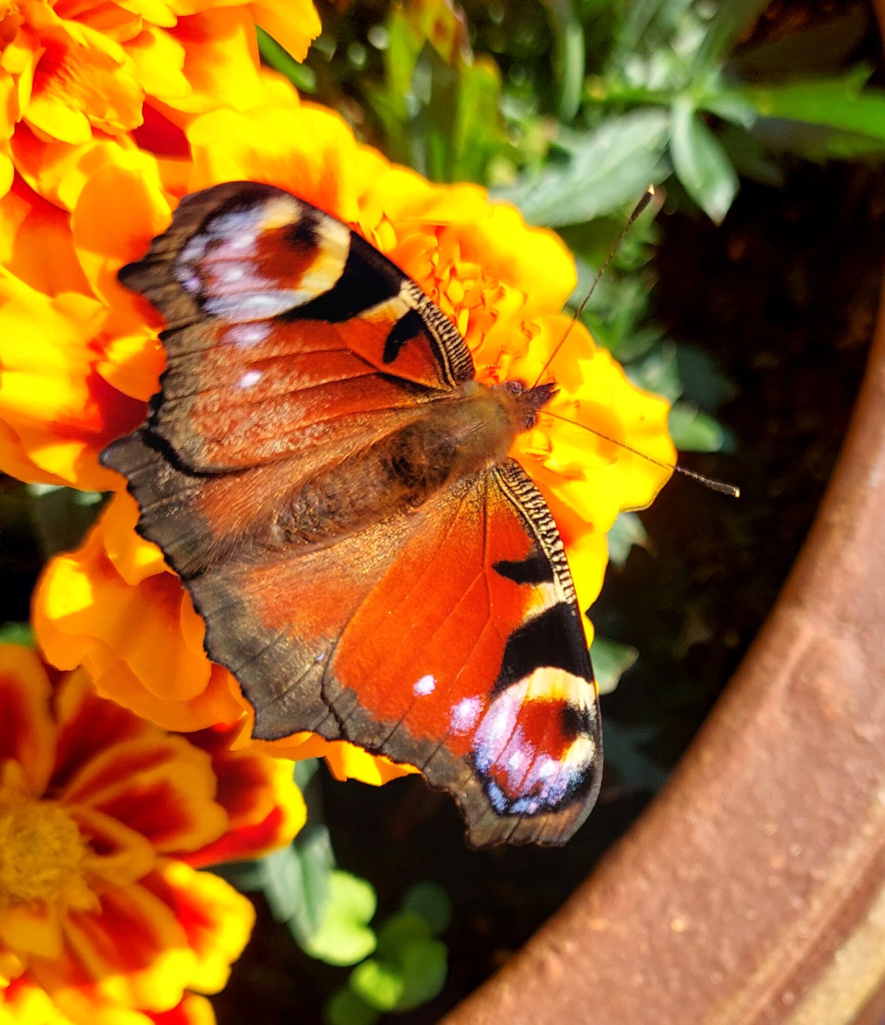 Valokuvaaja: Ville Tirilä