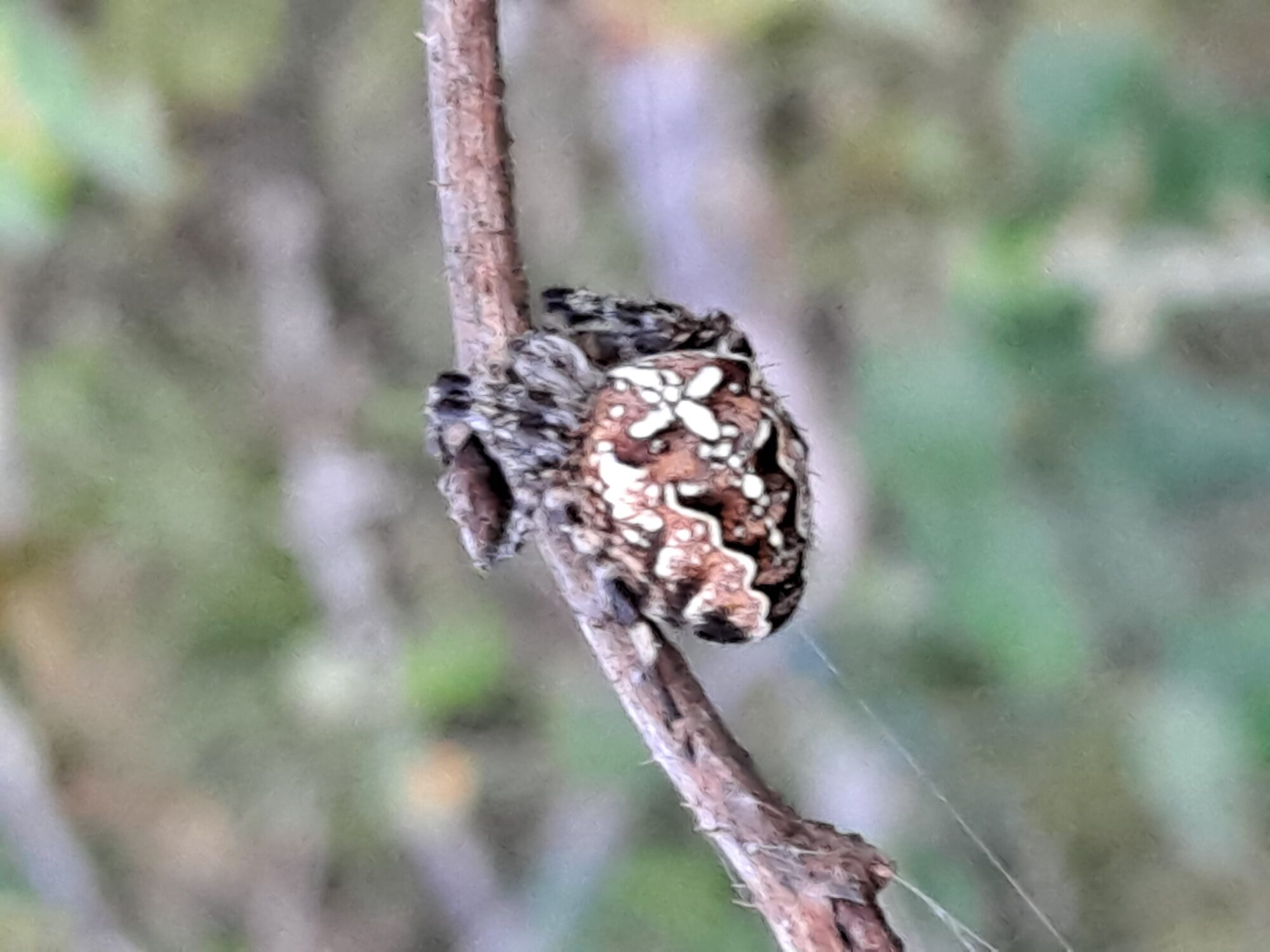 Valokuvaaja: Satu Suuntala