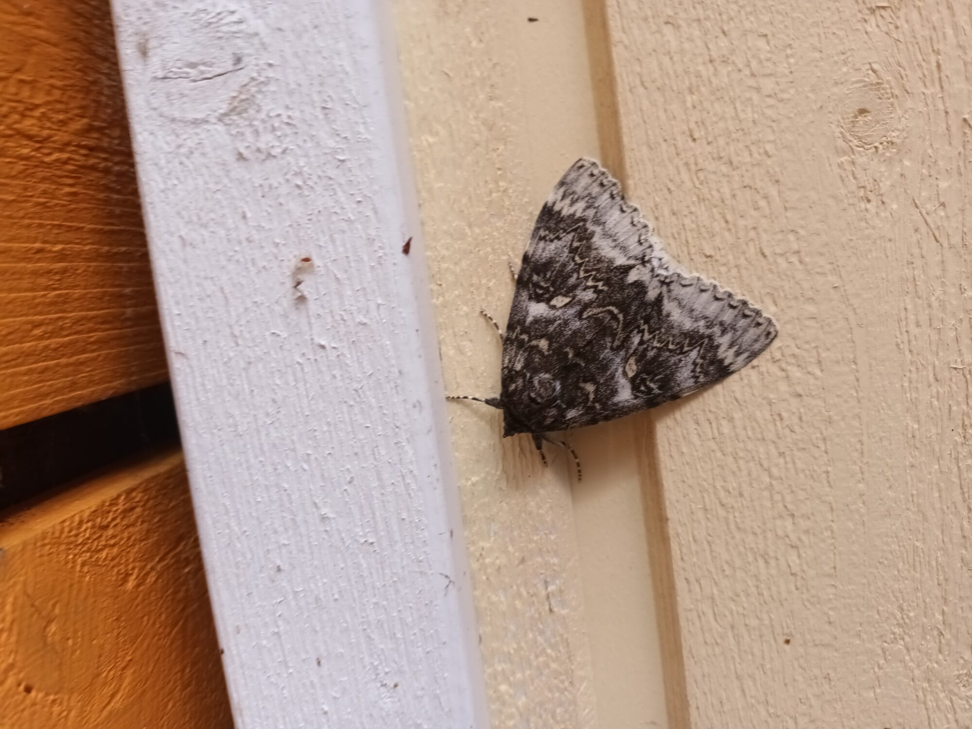 Valokuvaaja: Risto Intonen