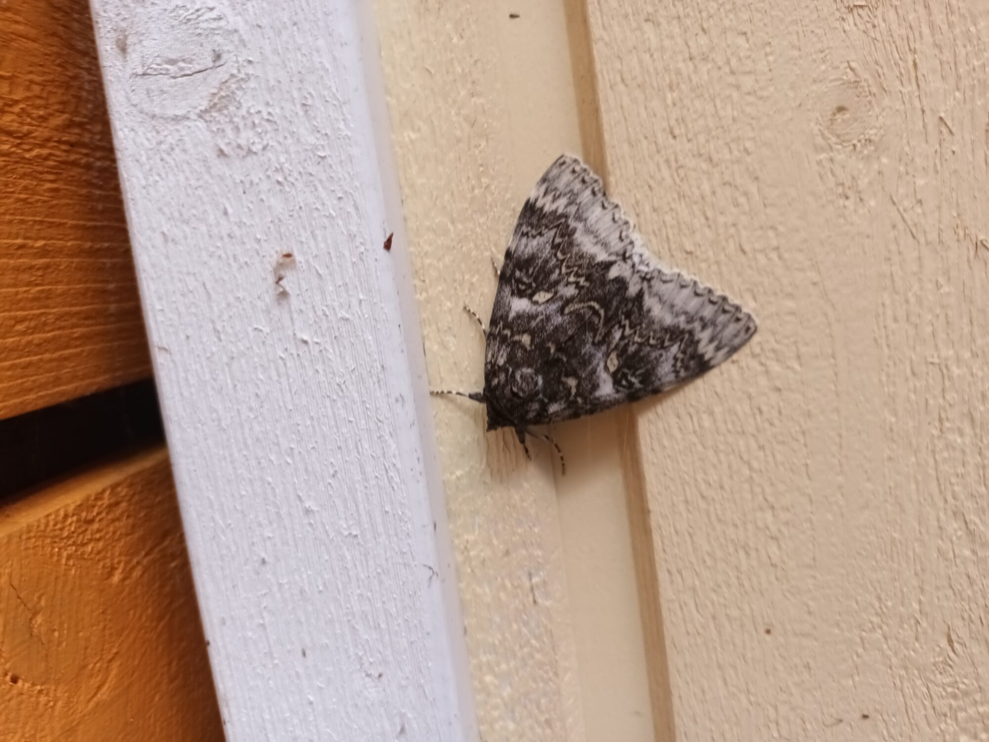 Valokuvaaja: Risto Intonen