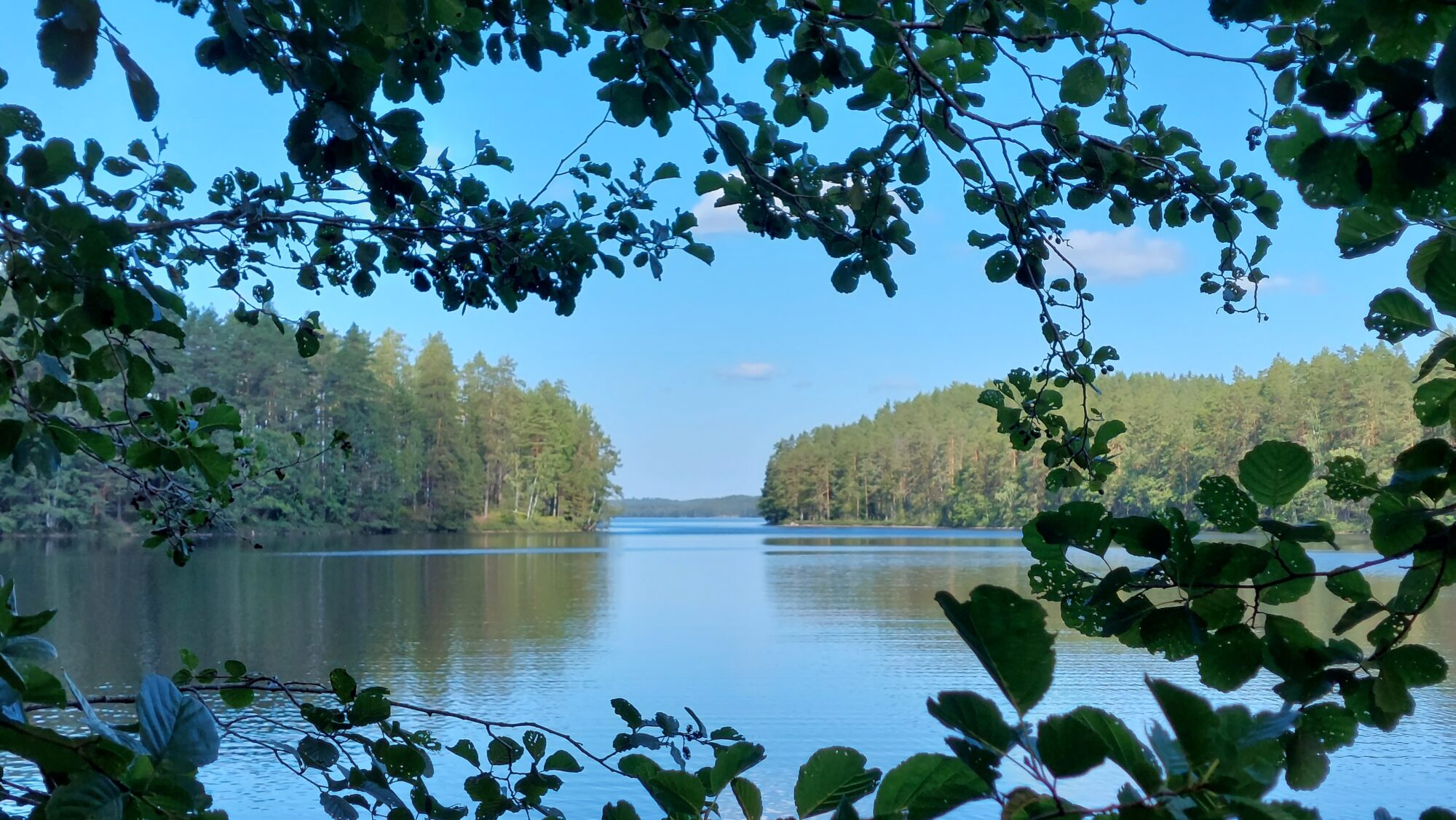 Valokuvaaja: Tarja Naukkarinen