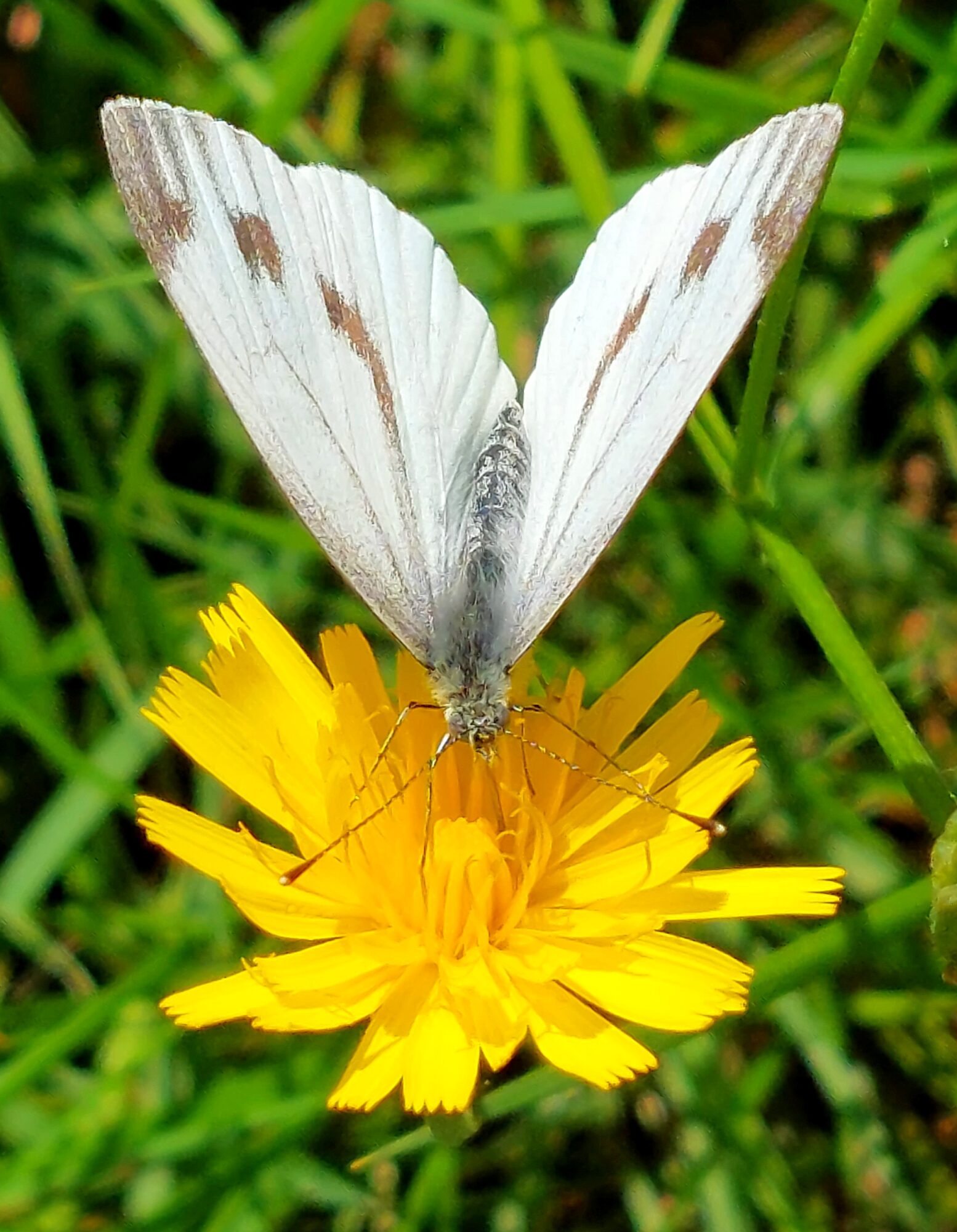 Valokuvaaja: Ville Tirilä