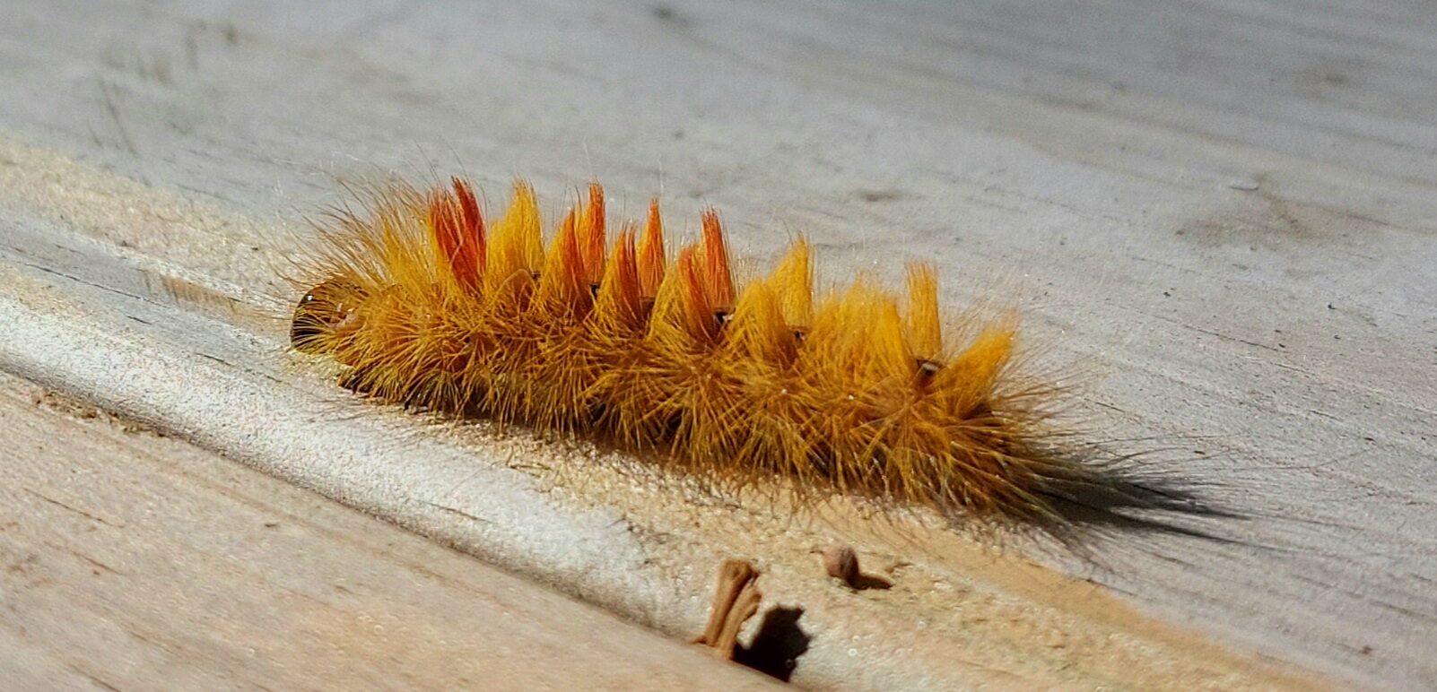 Valokuvaaja: Armi Mäkinen