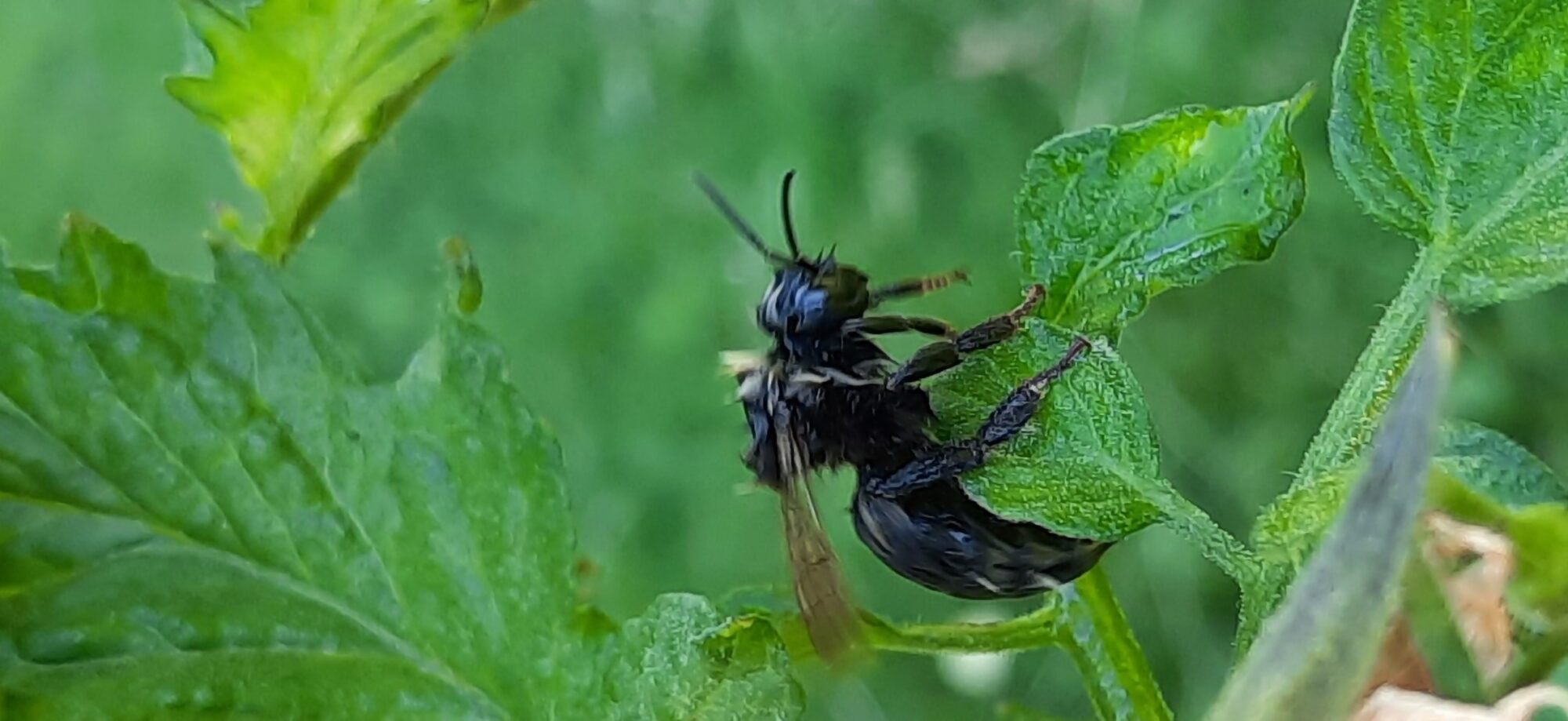 Valokuvaaja: Gina Rivera