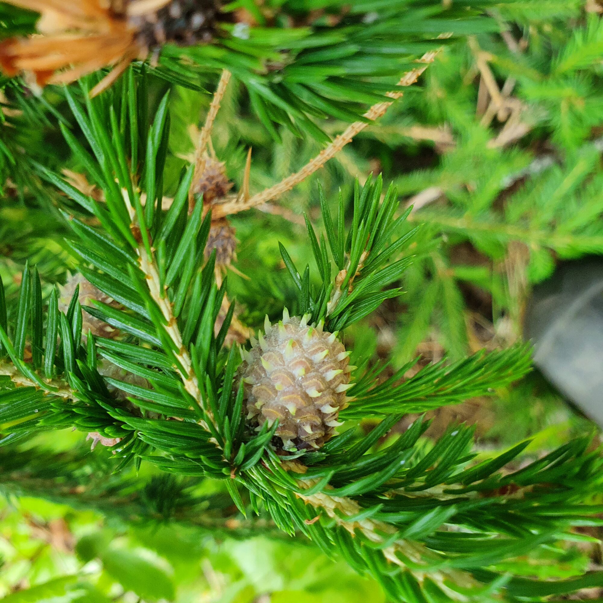 Valokuvaaja: Jani Vesala