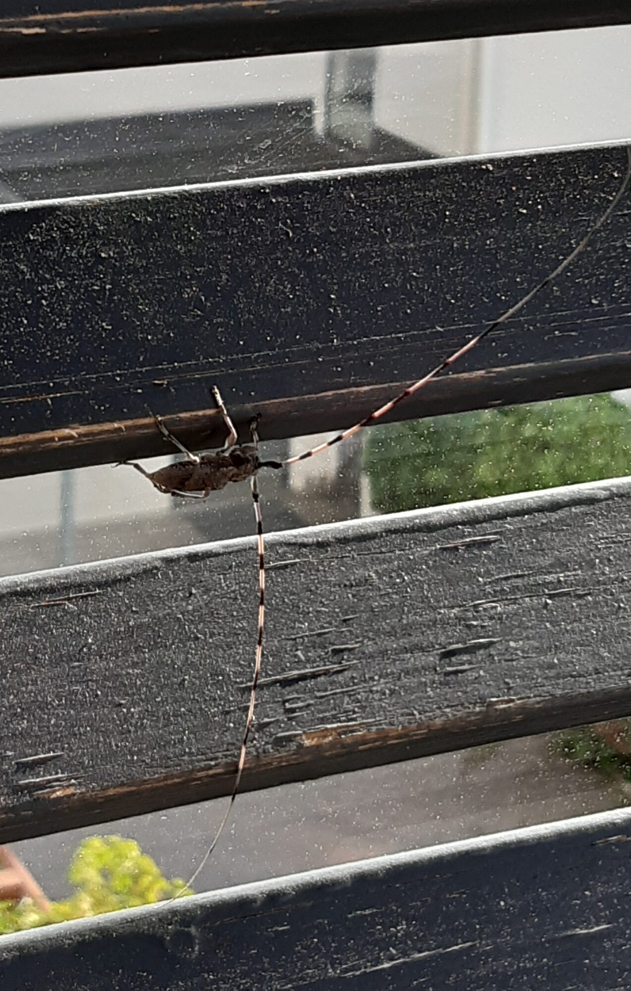 Valokuvaaja: Jorma Valokuvaaja: Jorma