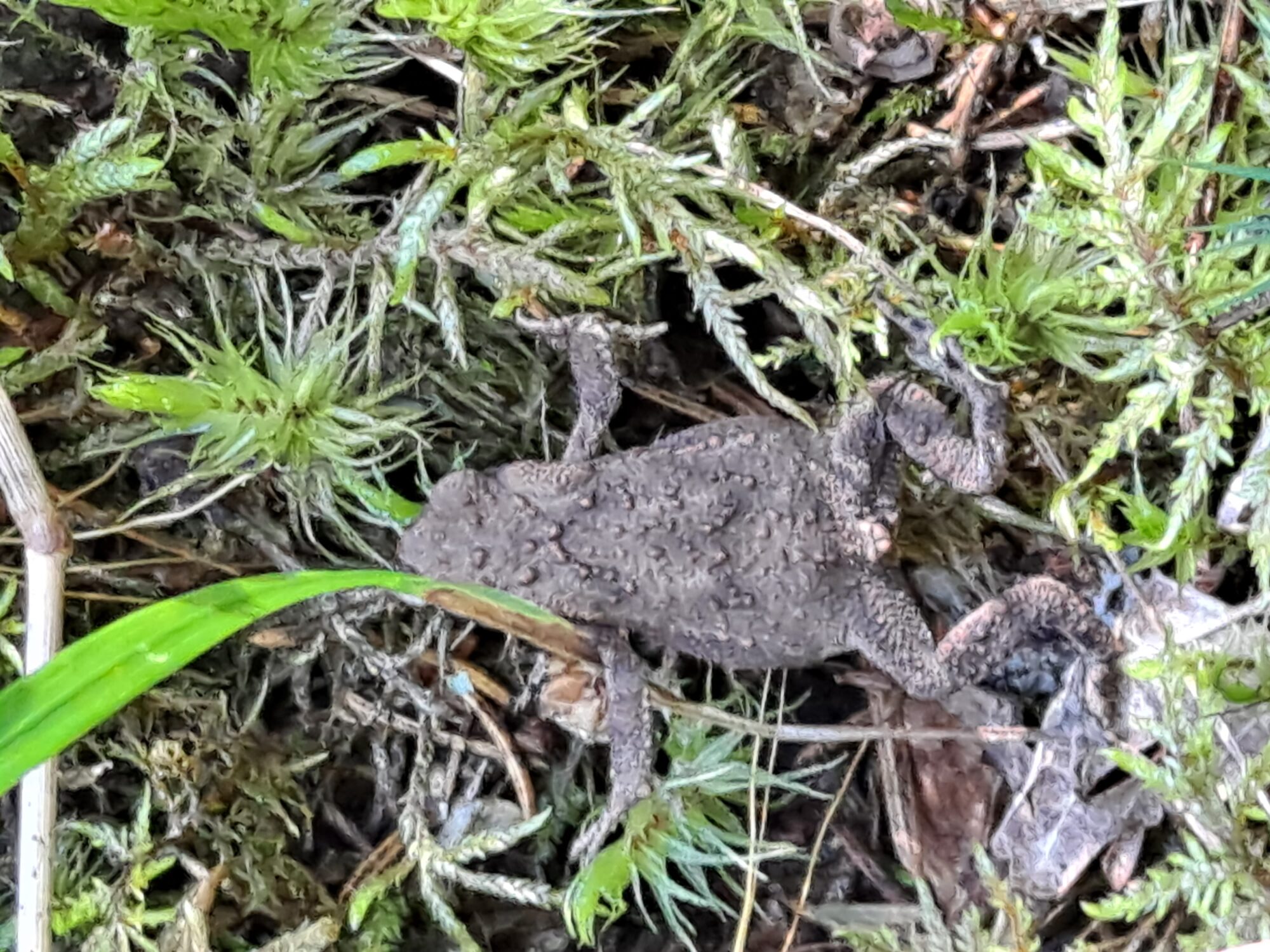 Valokuvaaja: Satu Suuntala