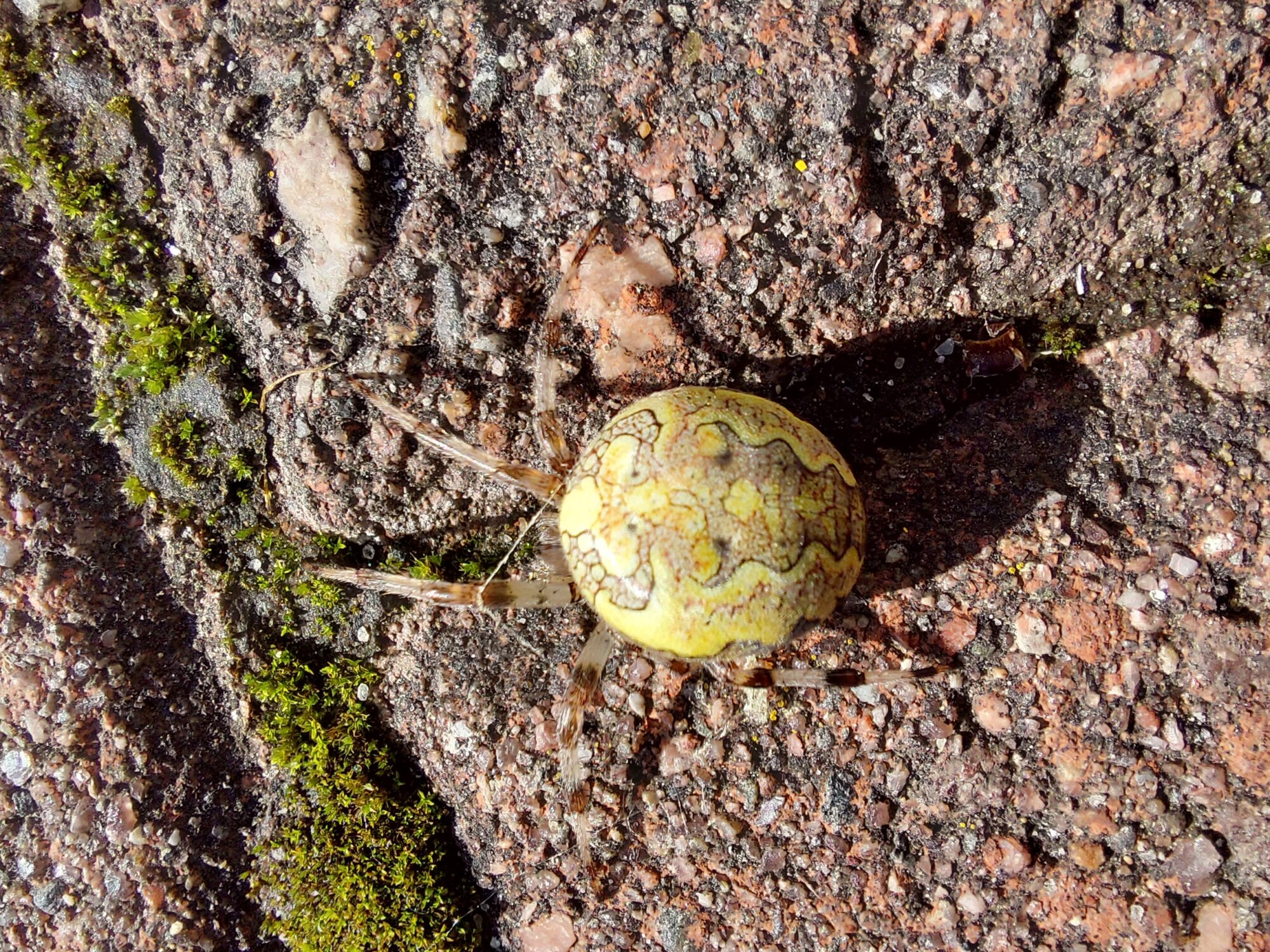 Valokuvaaja: Antti-Kalle Ranua