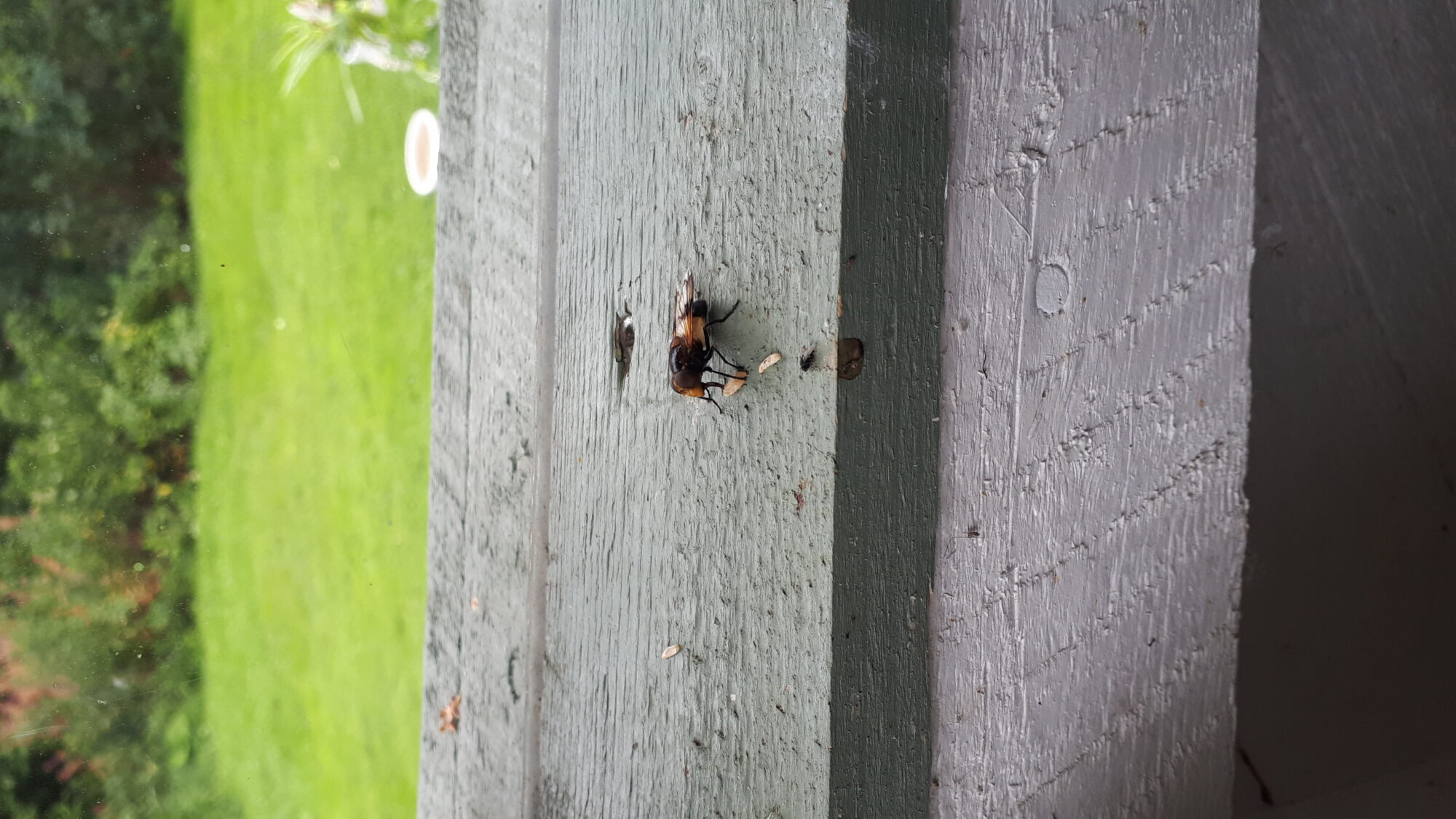 Valokuvaaja: Kari Paananen