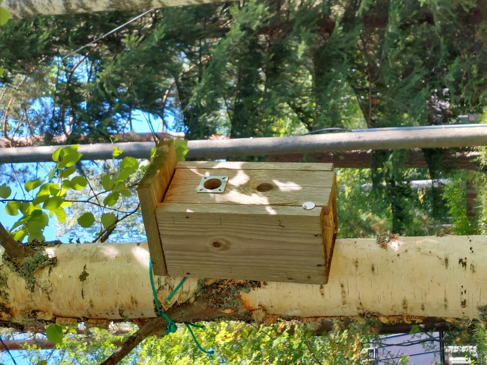 Valokuvaaja: Tuula Makkonen