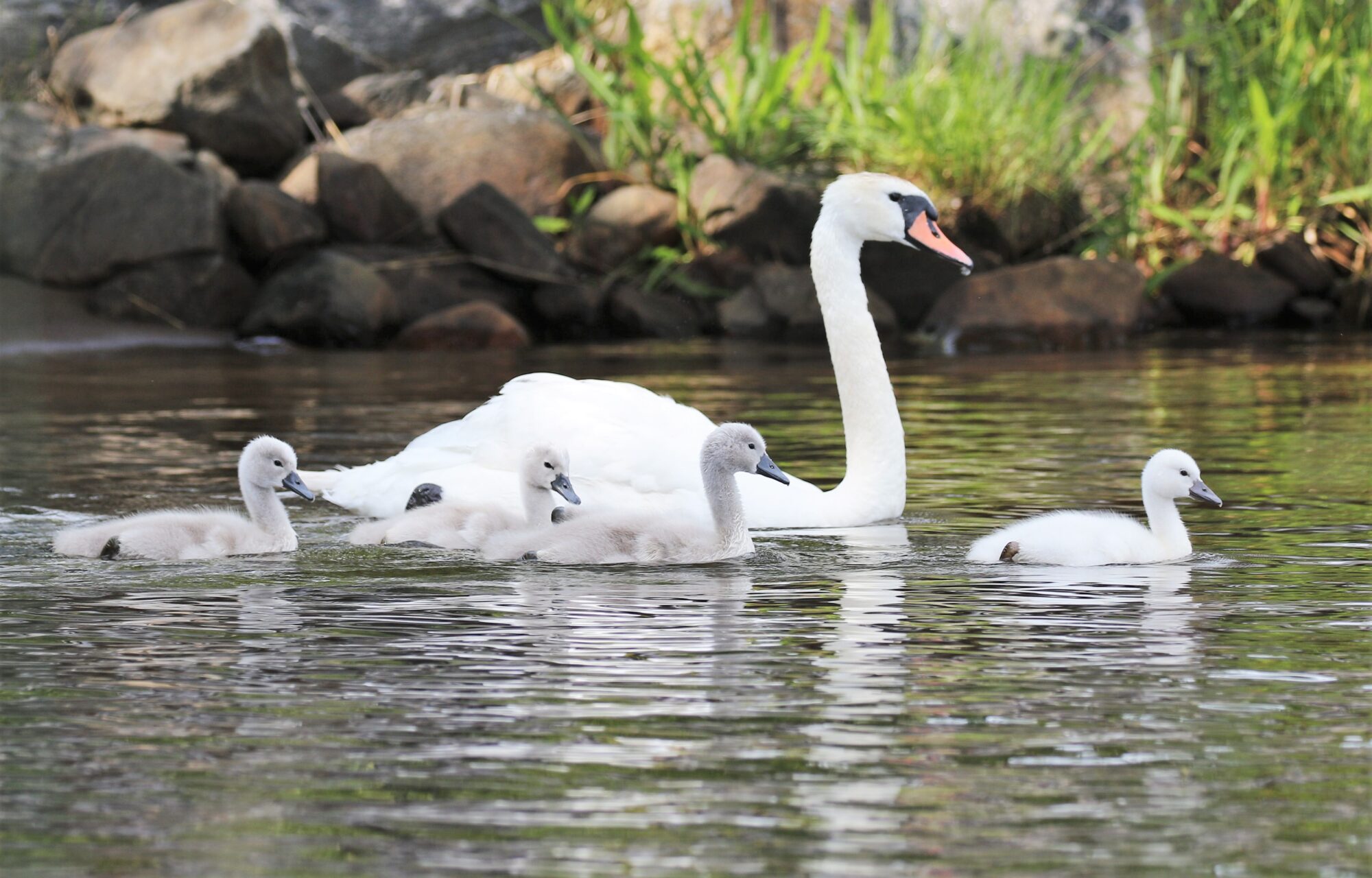 Valokuvaaja: Anne keskivinkka