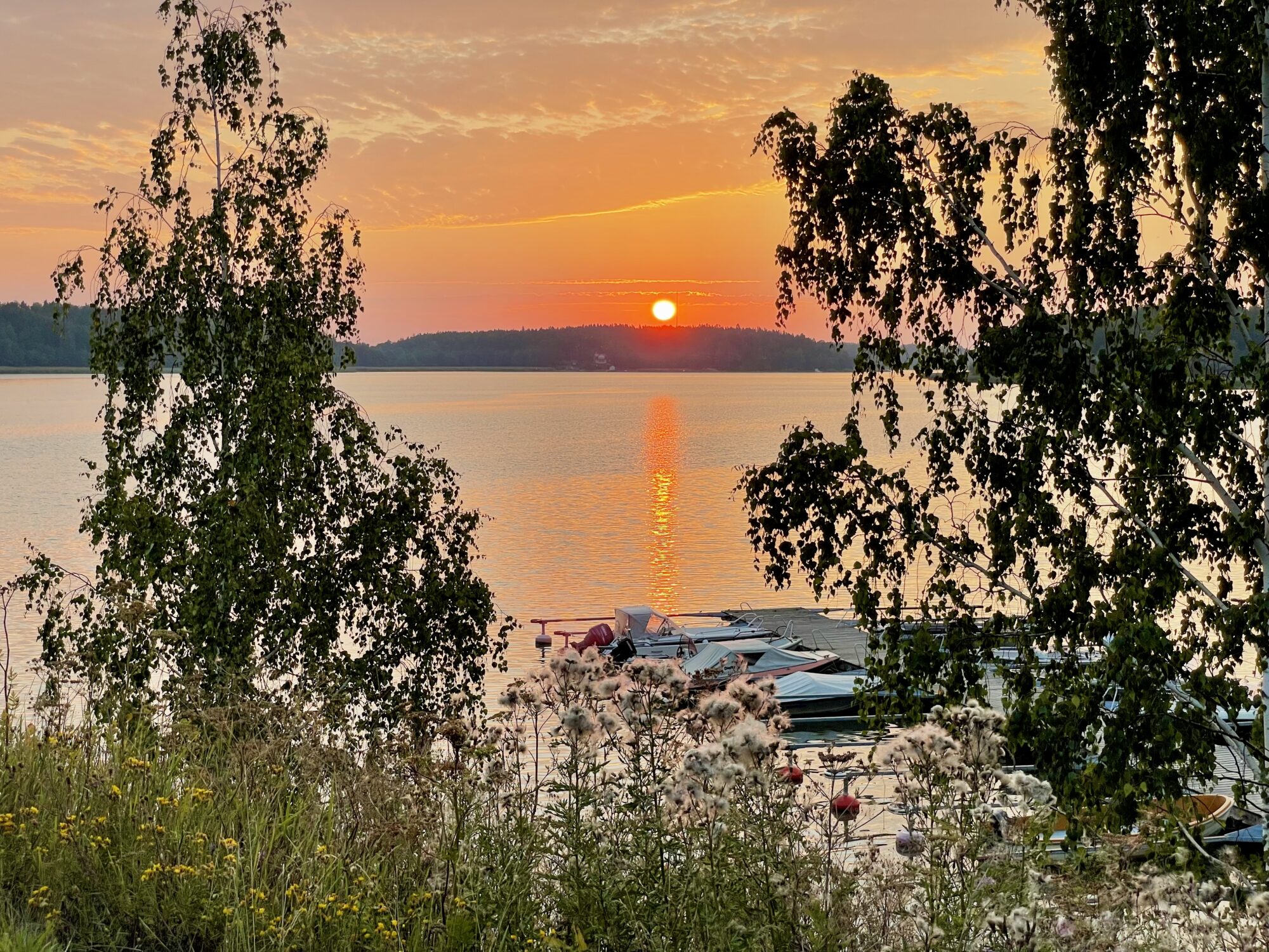 Valokuvaaja: Juhani Peltonen Valokuvaaja: Juhani Peltonen